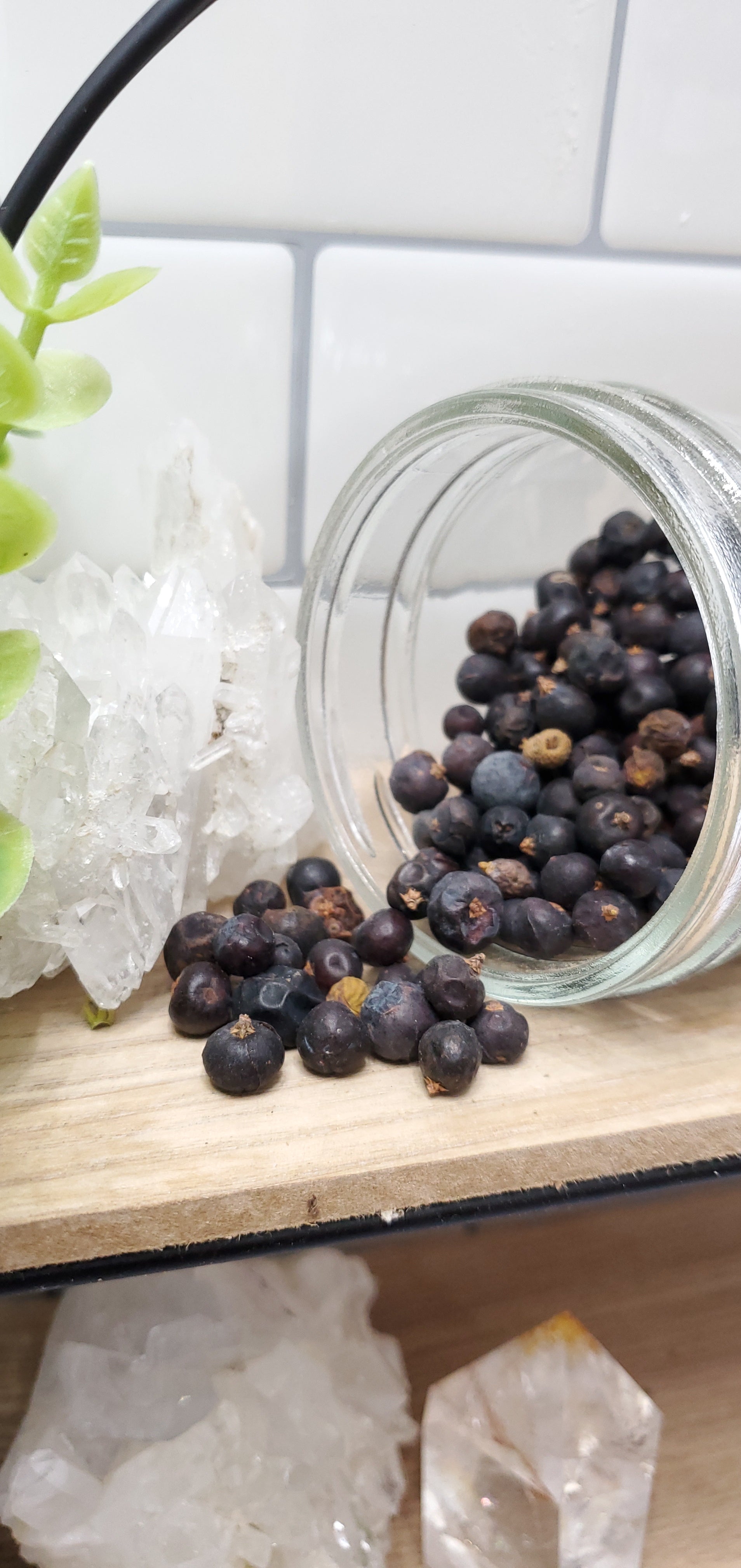 Juniper Berries