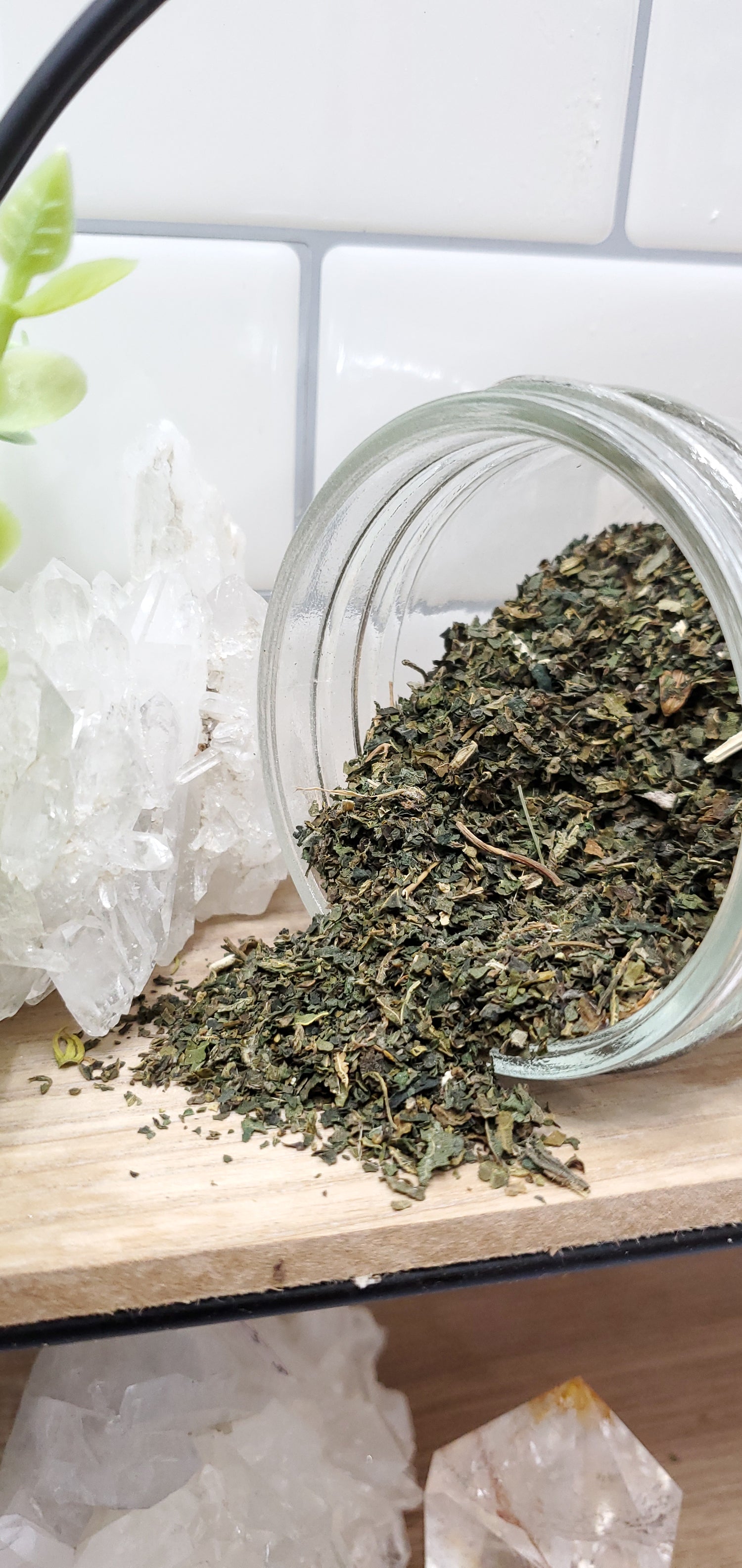 Nettle Leaf