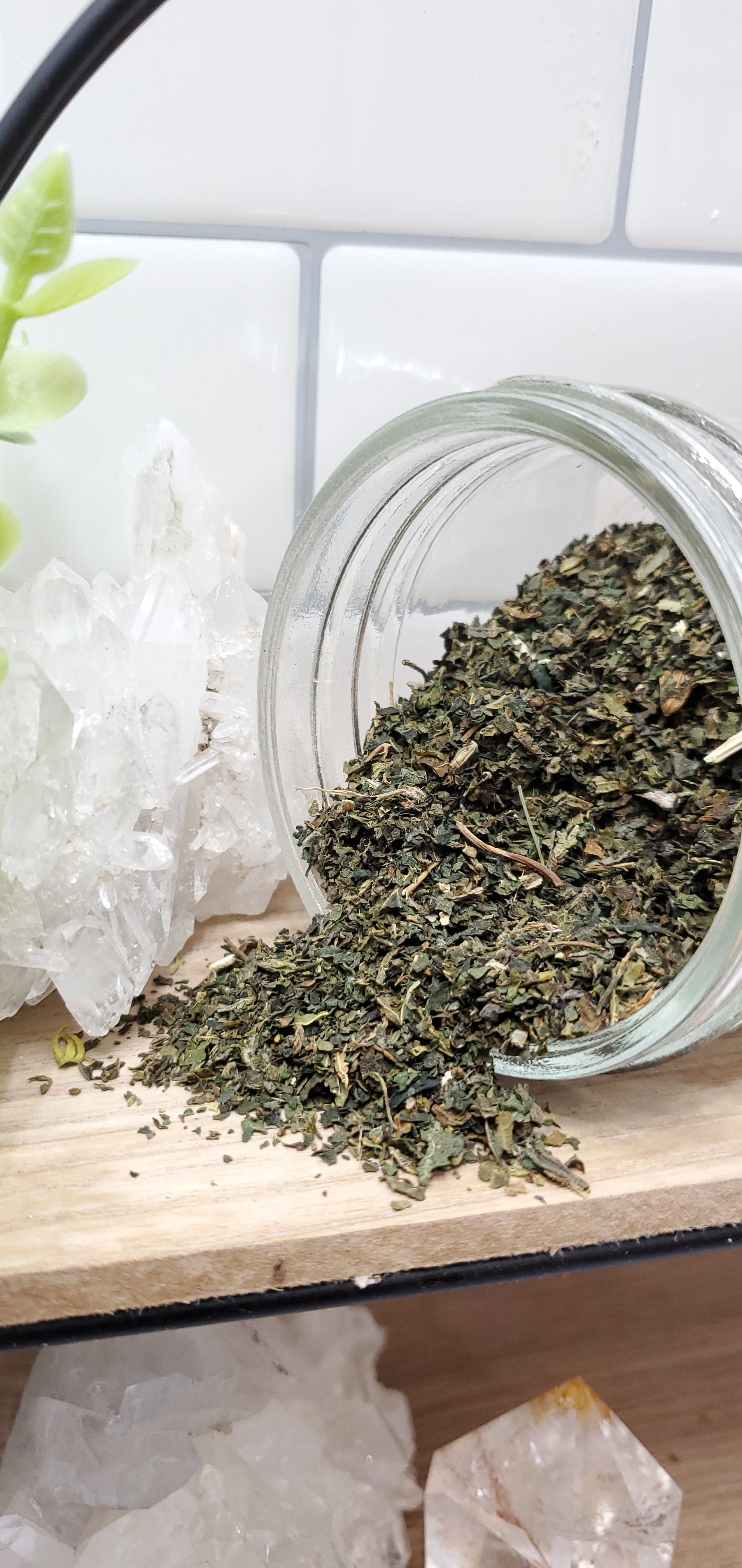 Nettle Leaf