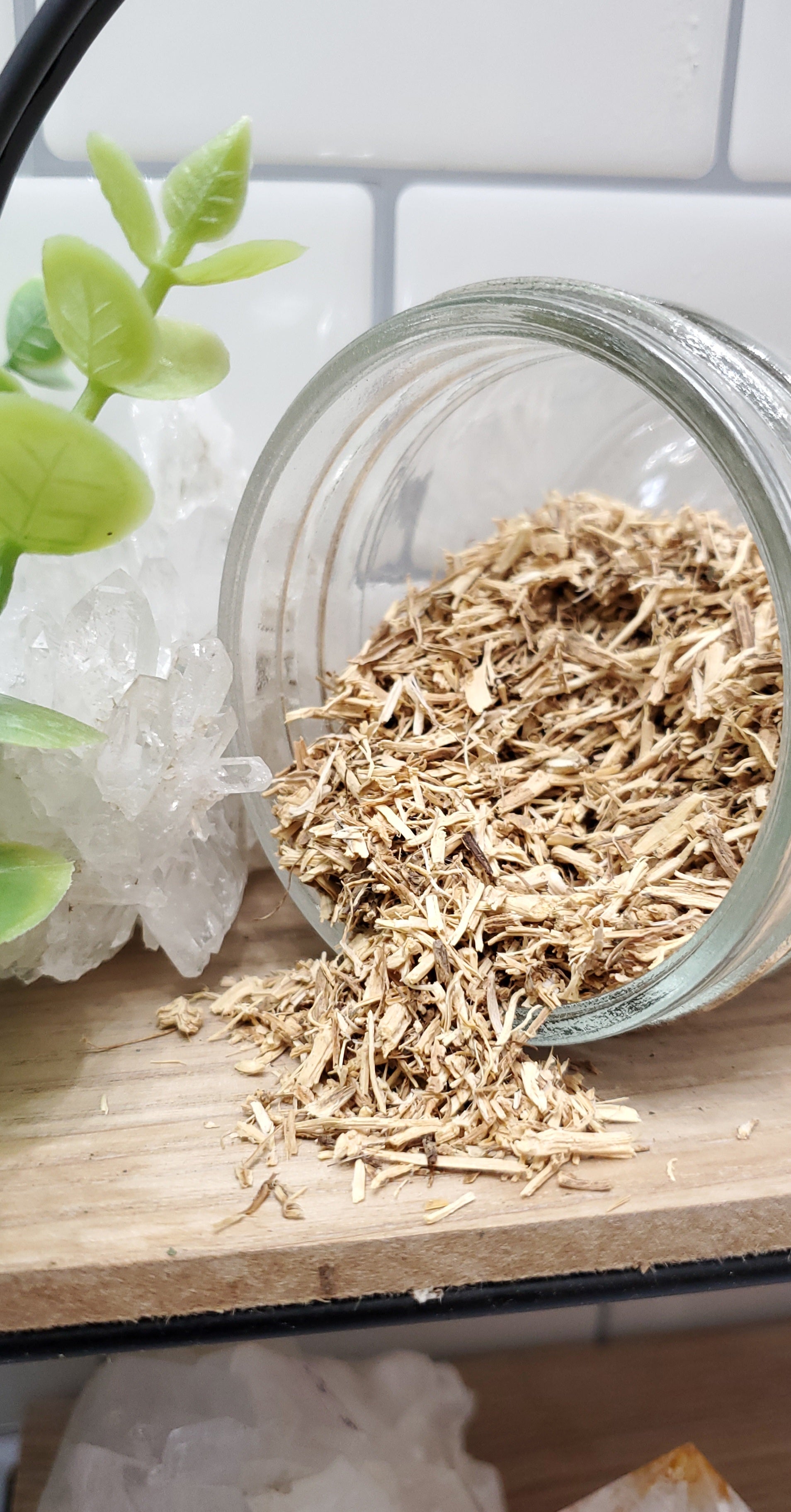 Nettle Root