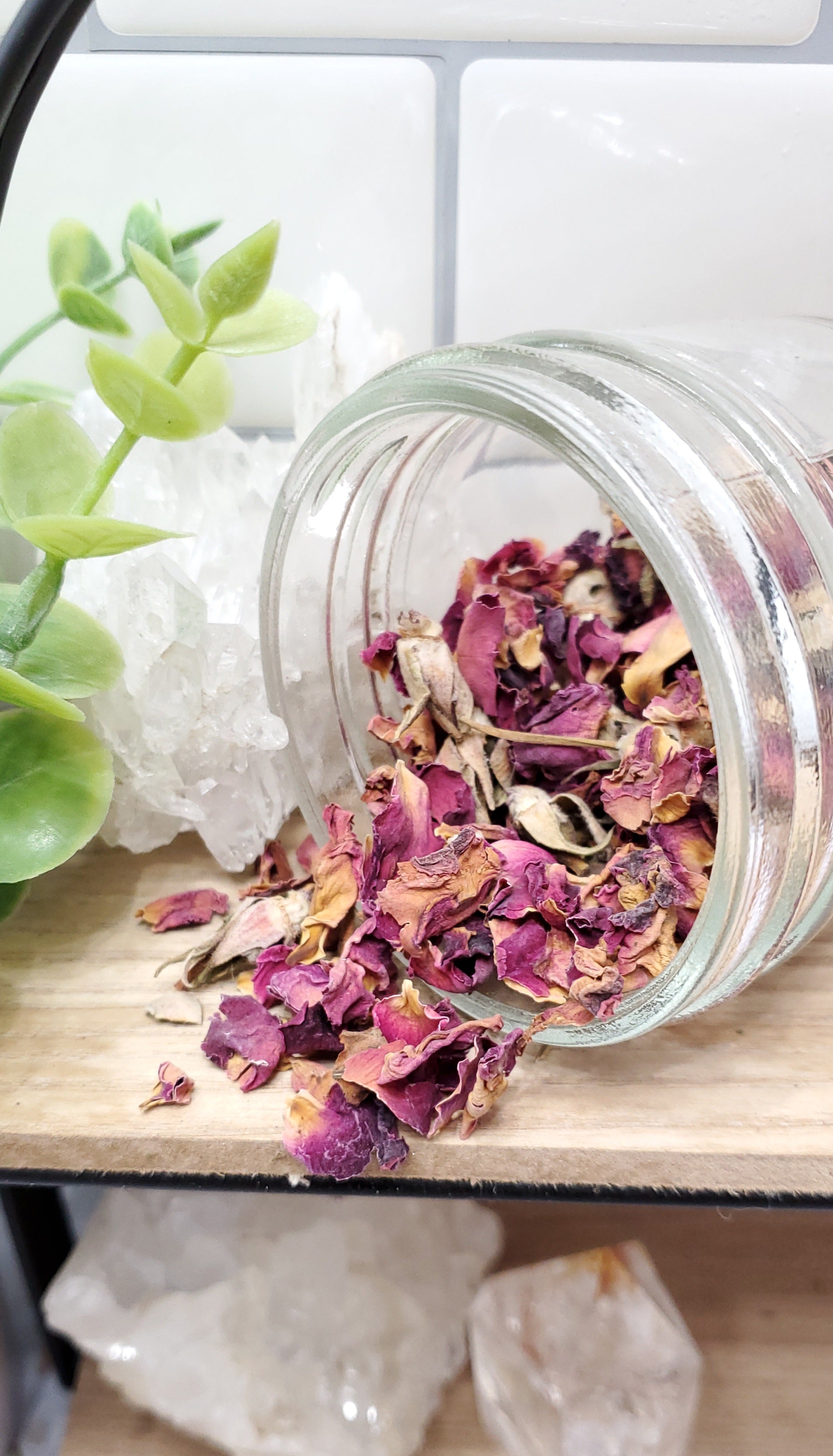Rose Buds