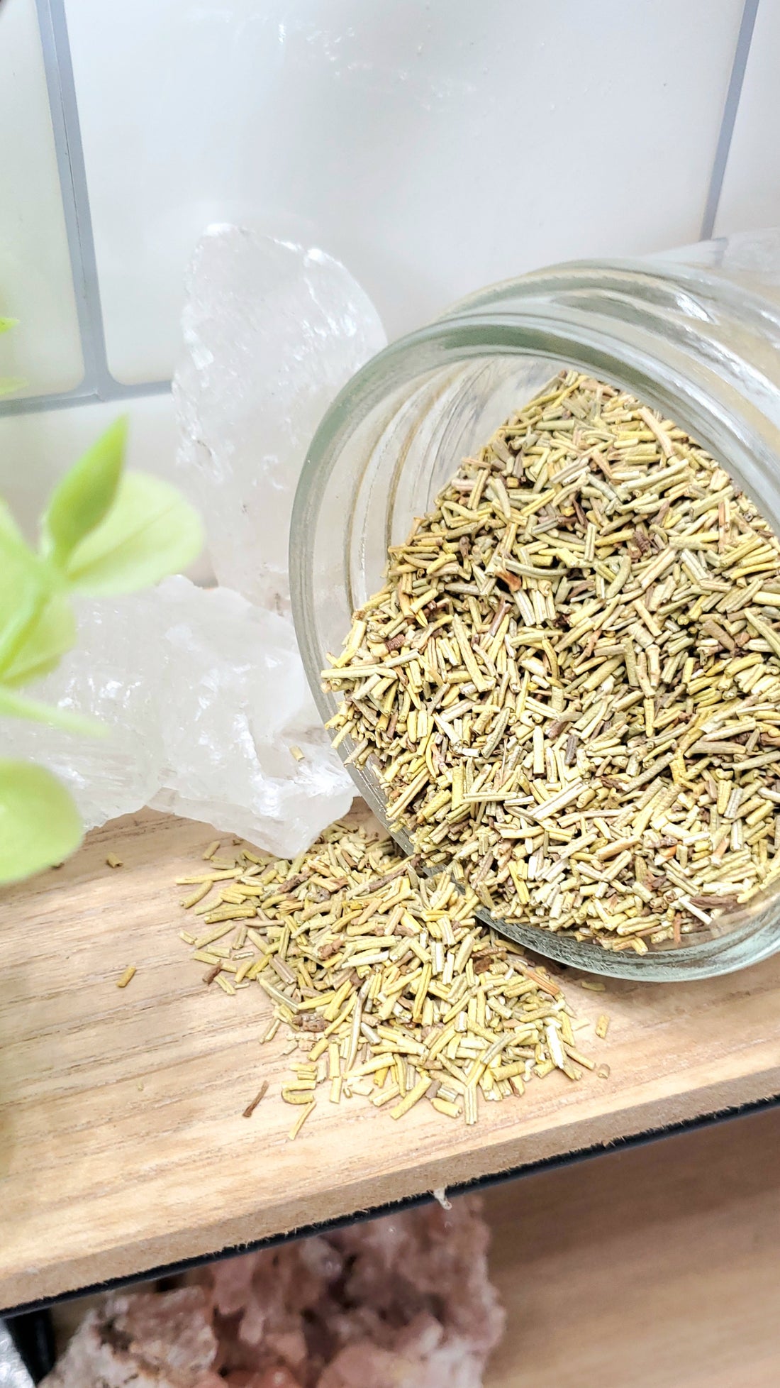 Rosemary