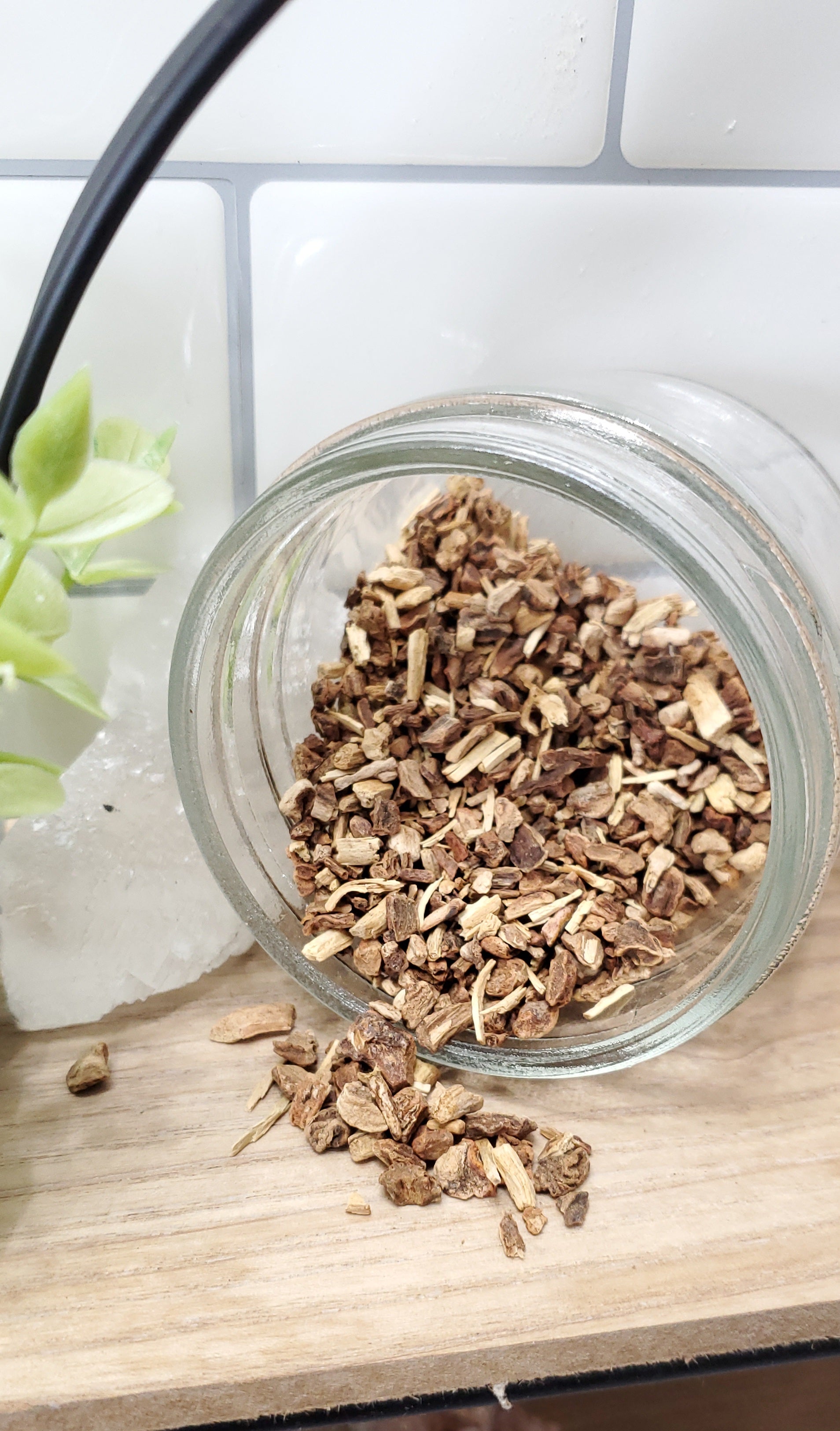 Sarsaparilla Root