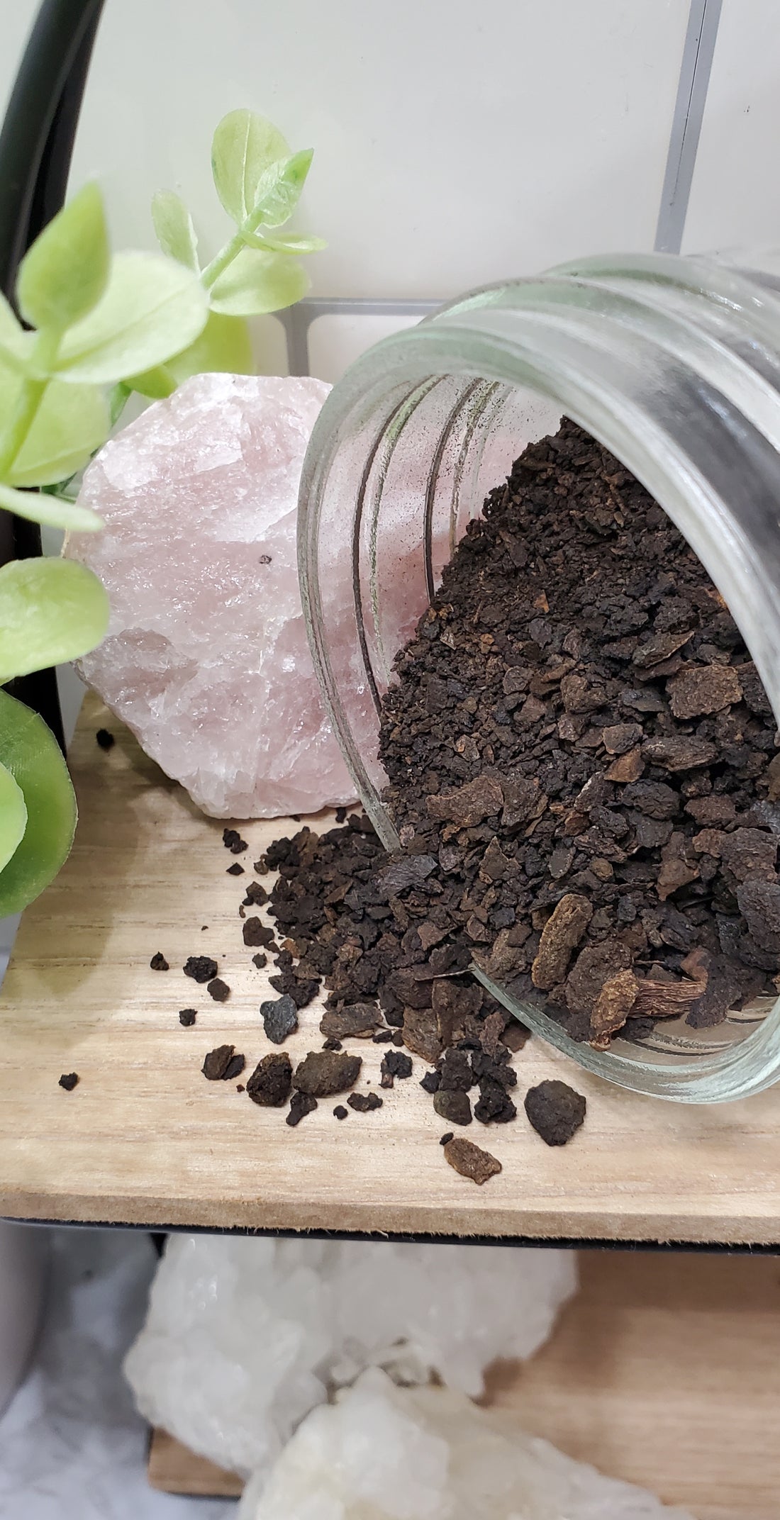 black walnut hulls in a jar