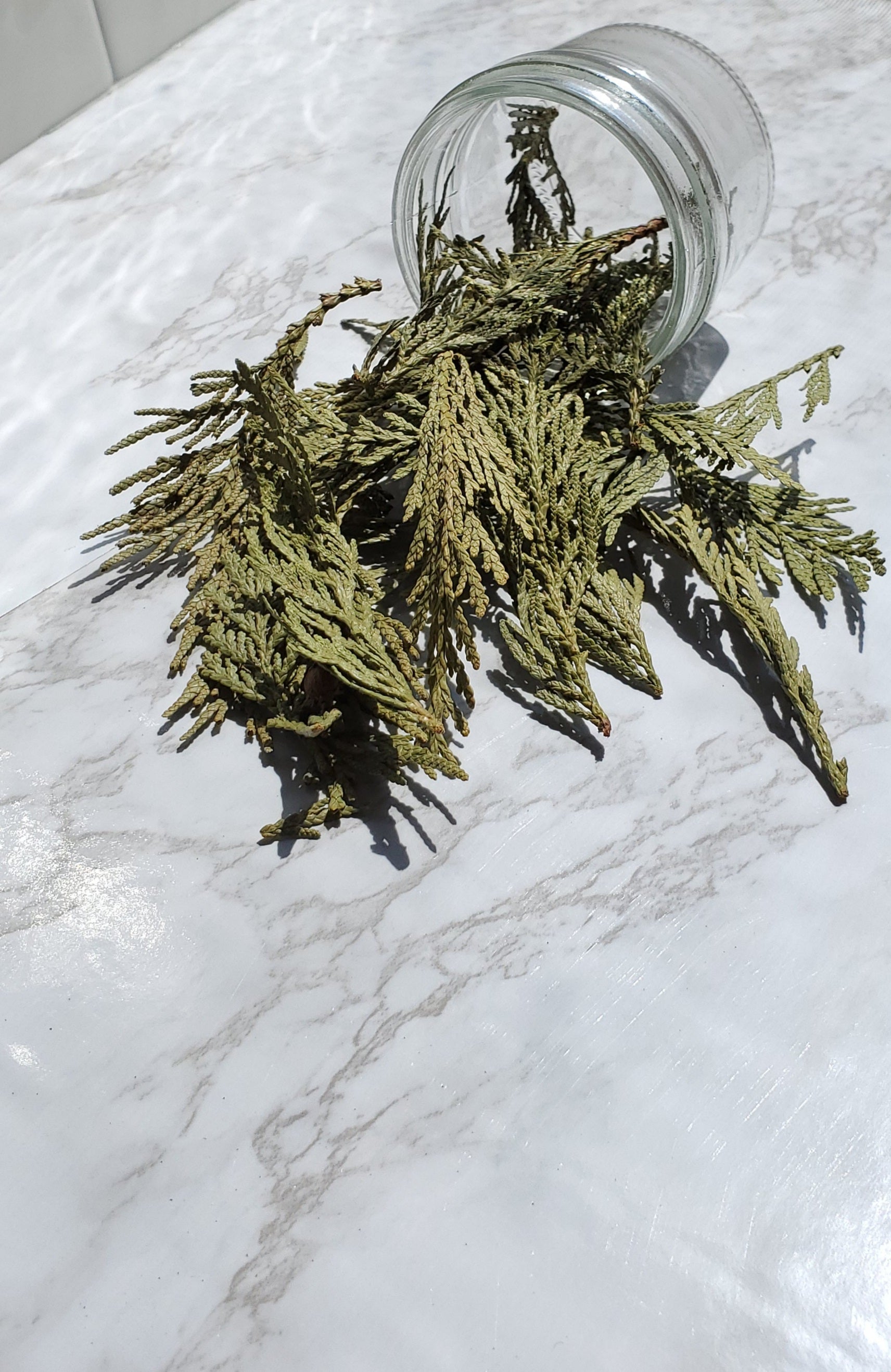 cedar western red spilling out of a glass jar