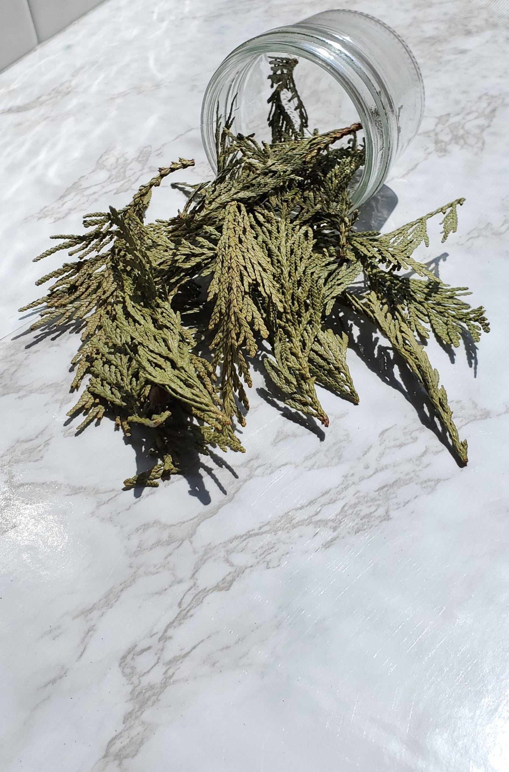 Cedar Western Red spilling out of a jar