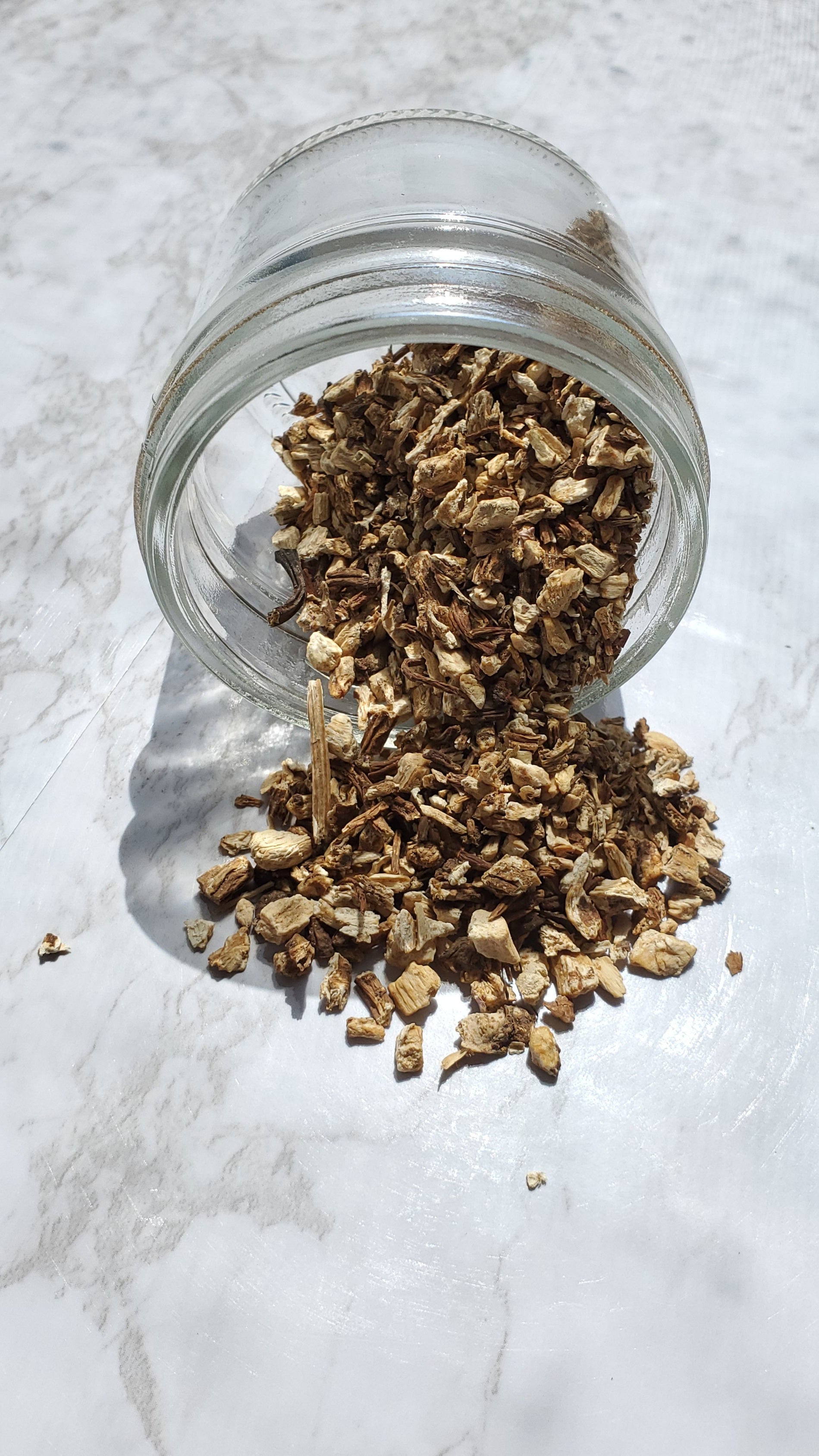 Angelica Root spilling out of a glass jar