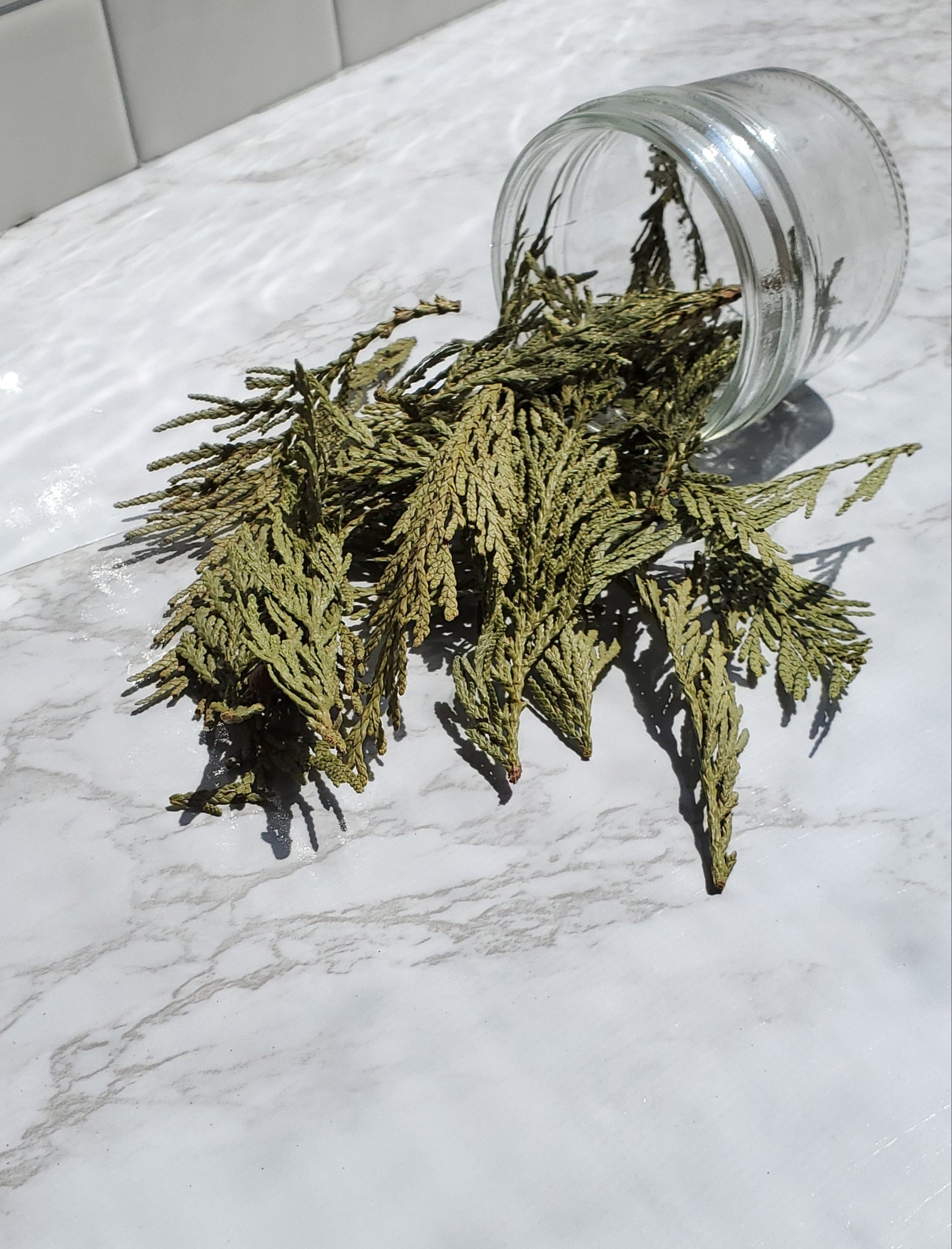 Cedar Western Red spilling out of a jar
