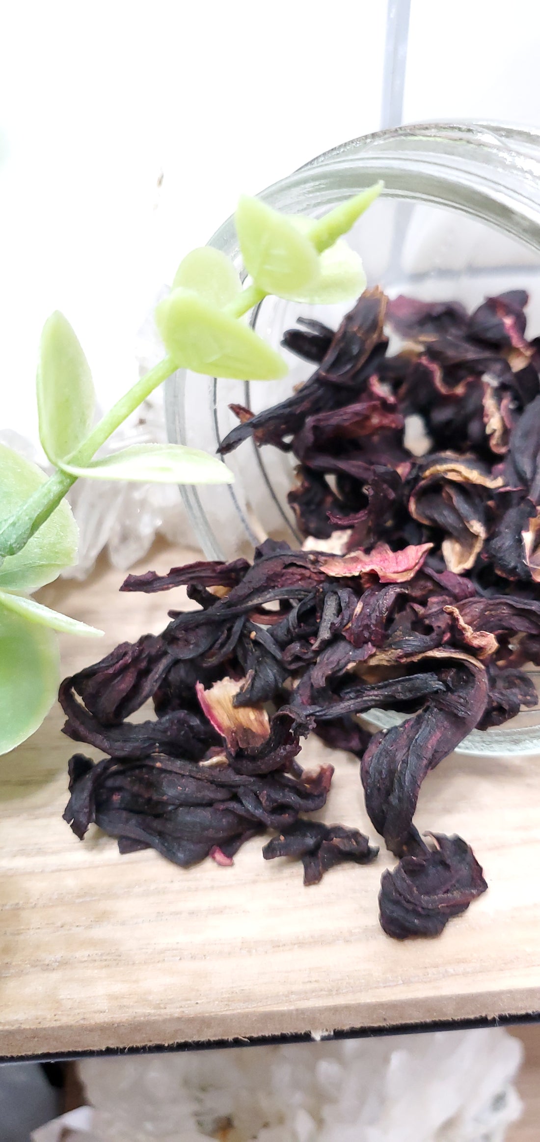 Hibiscus spilling from a glass jar