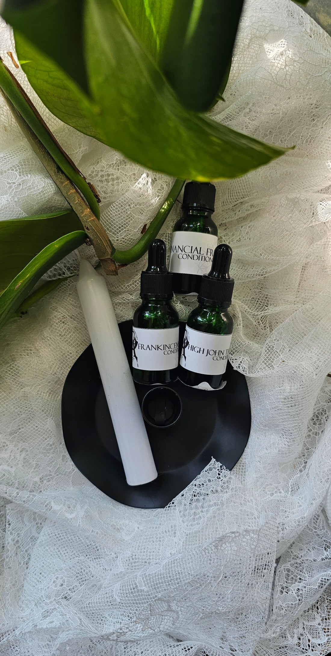 Condition Oil