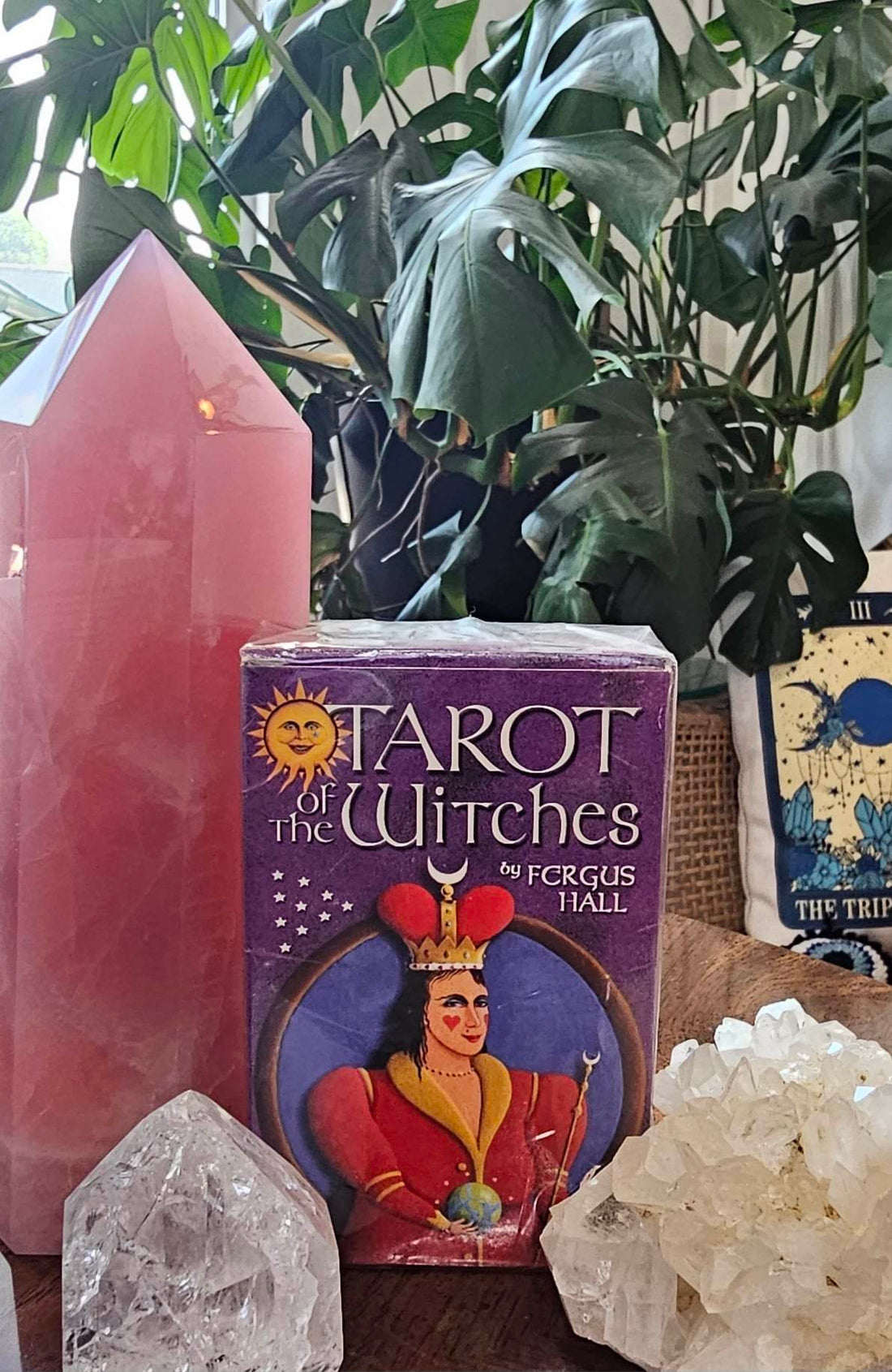 Tarot of the Witches