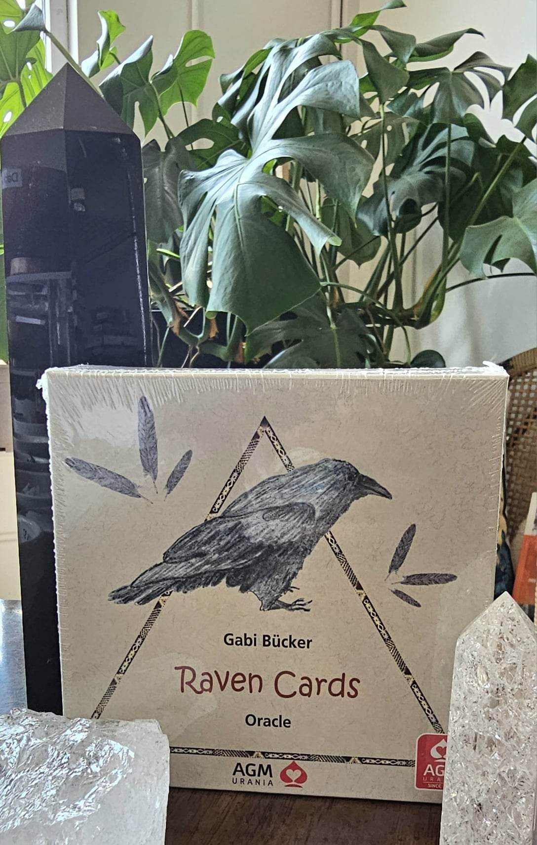 Raven Oracle Cards Deck – Oracle's Apothecary