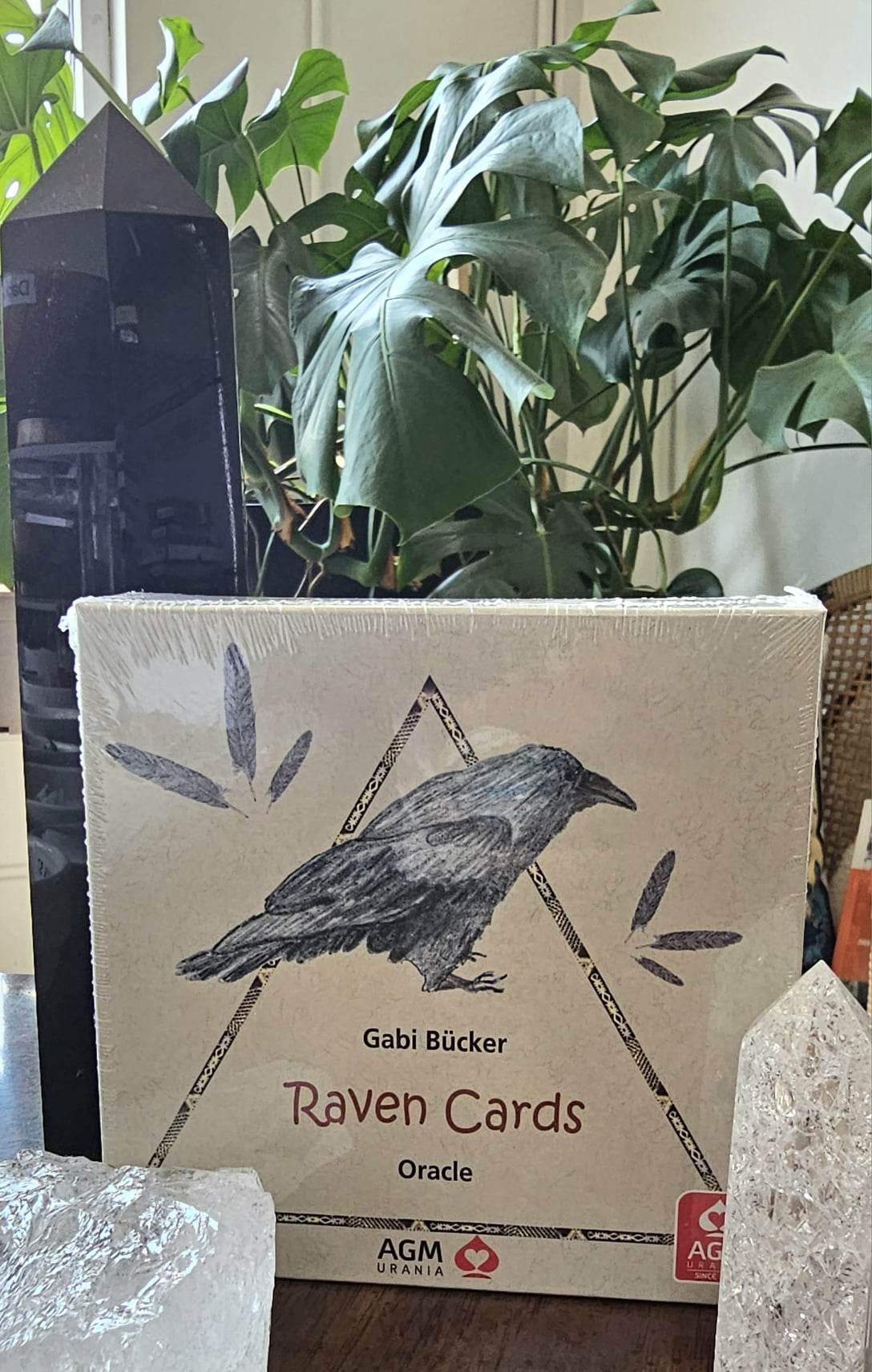 Raven Oracle Cards Deck