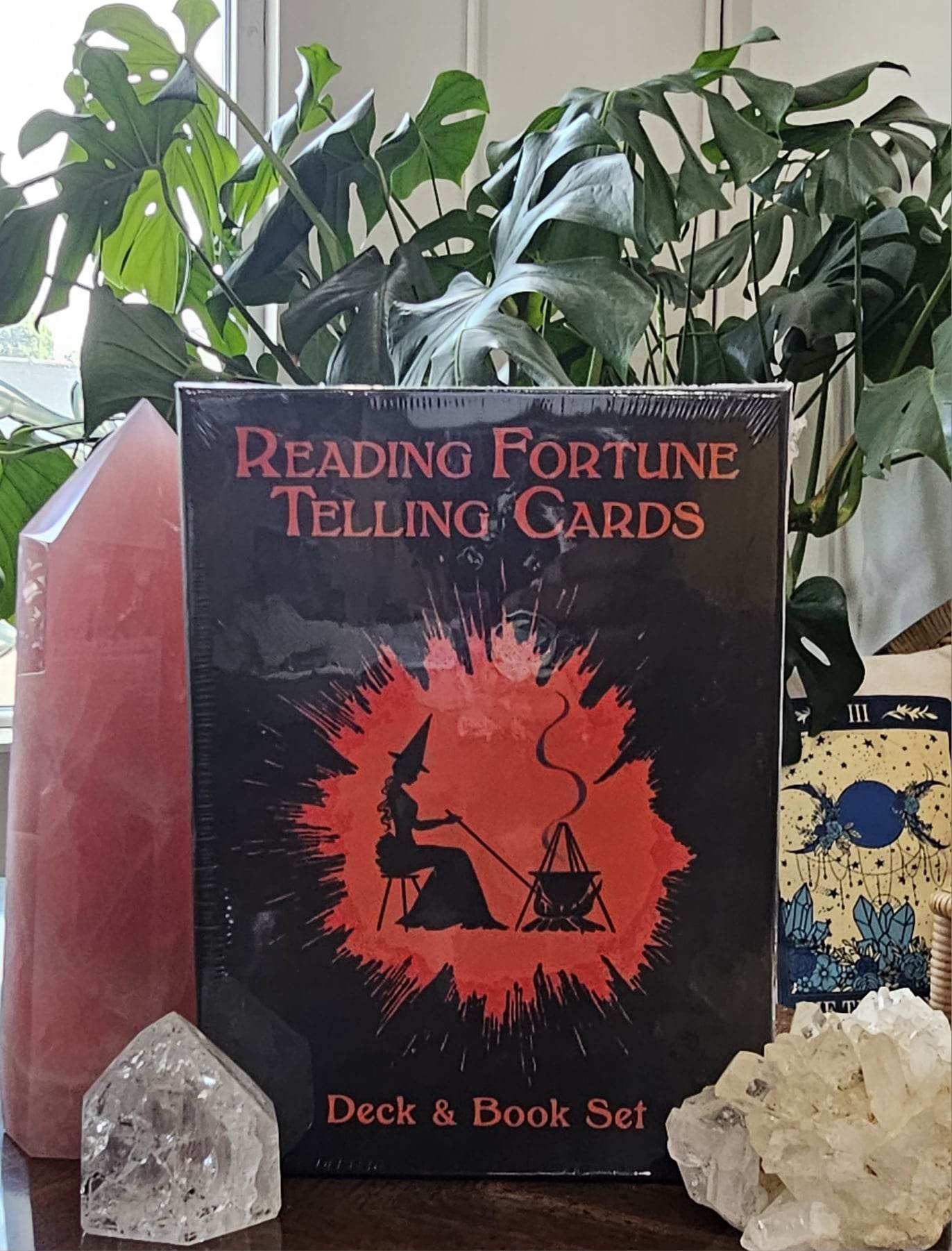 Reading Fortune Telling Cards