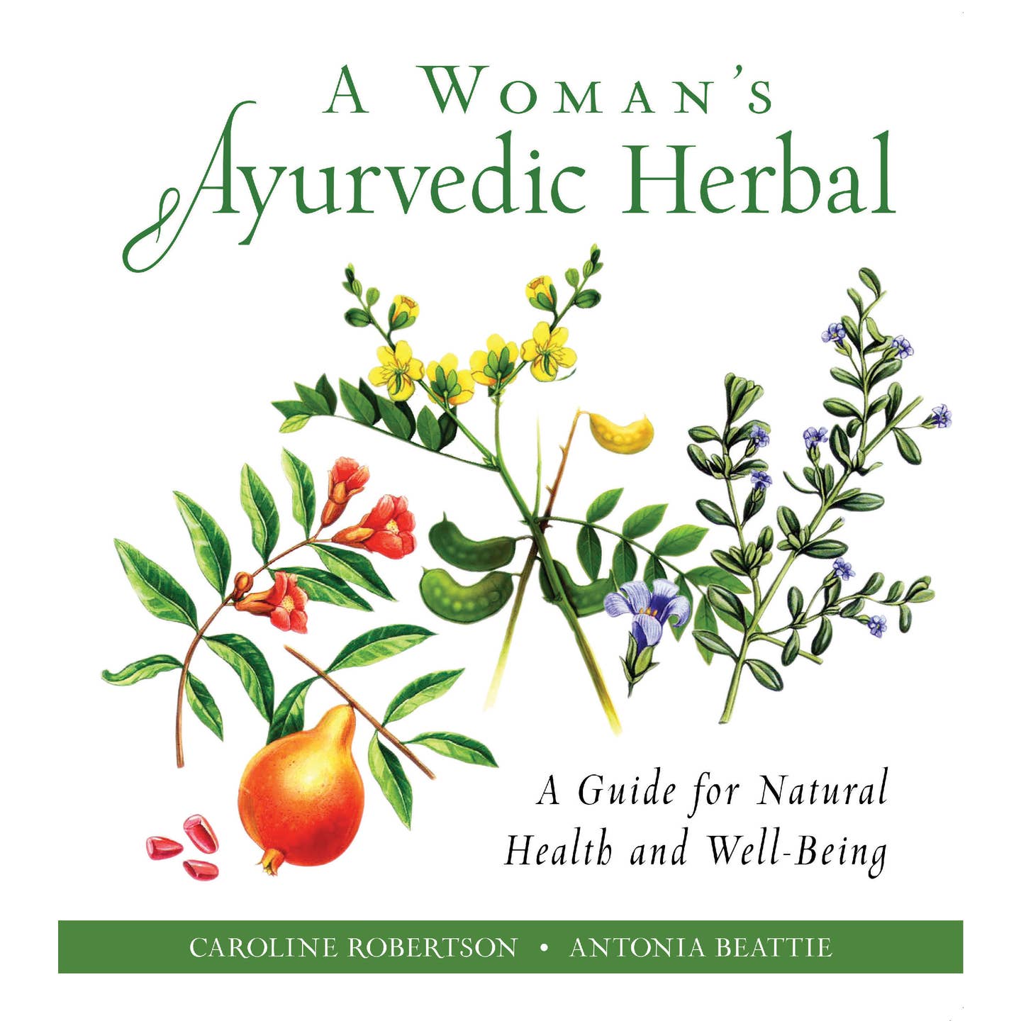 Book cover of &