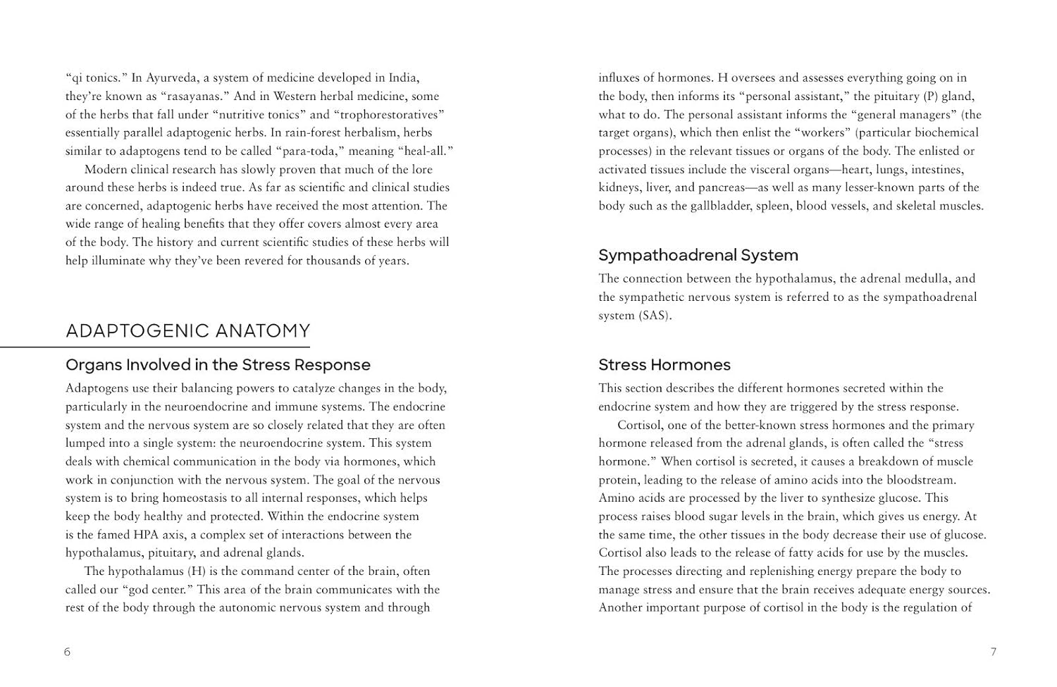 Ritual Wellness Adaptogens