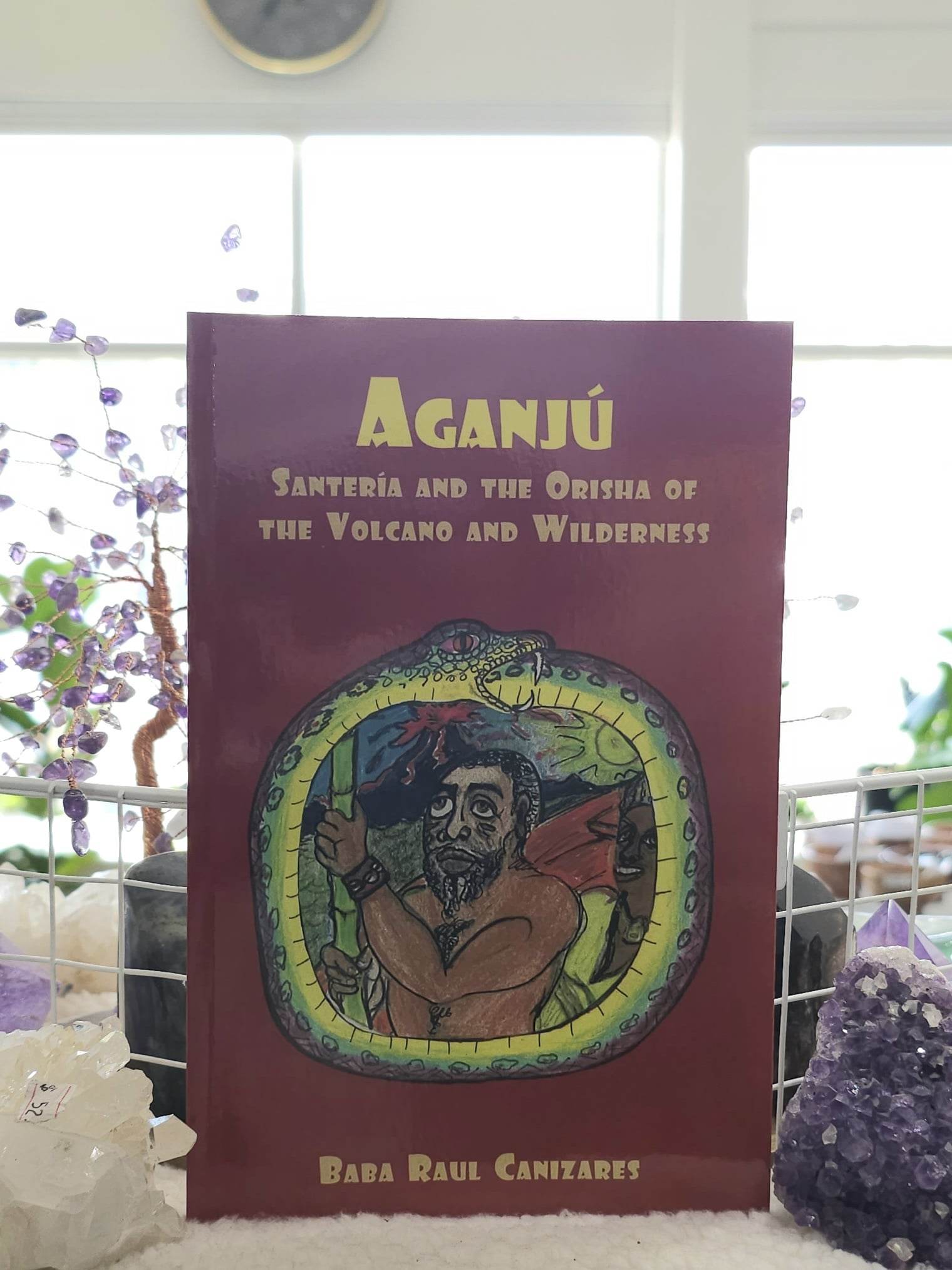 Aganju: Santeria &amp; the Orisha of the Volcano &amp; Wilderness book