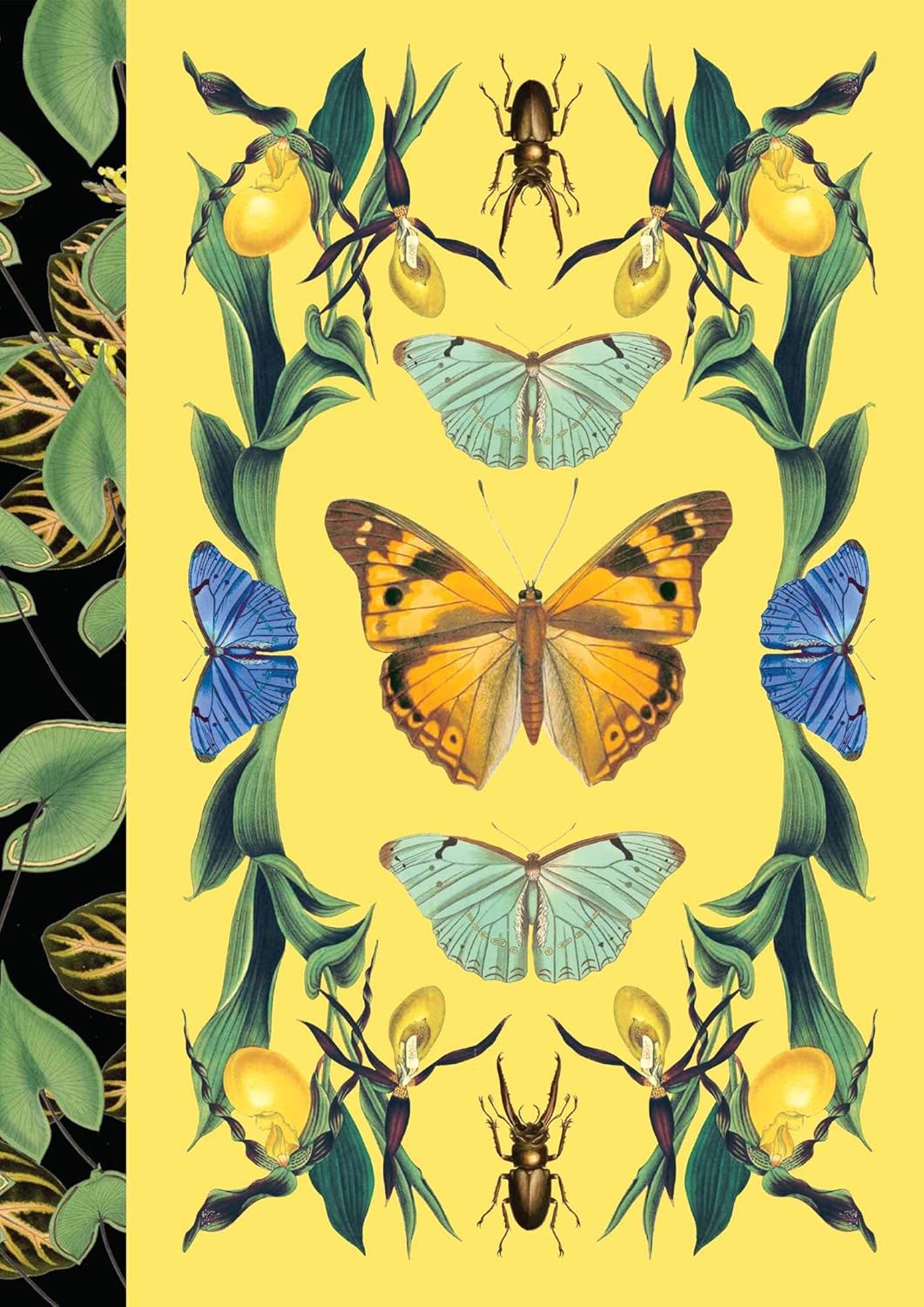 Illustration of butterflies, moths, and insects on a yellow background with green leaves.