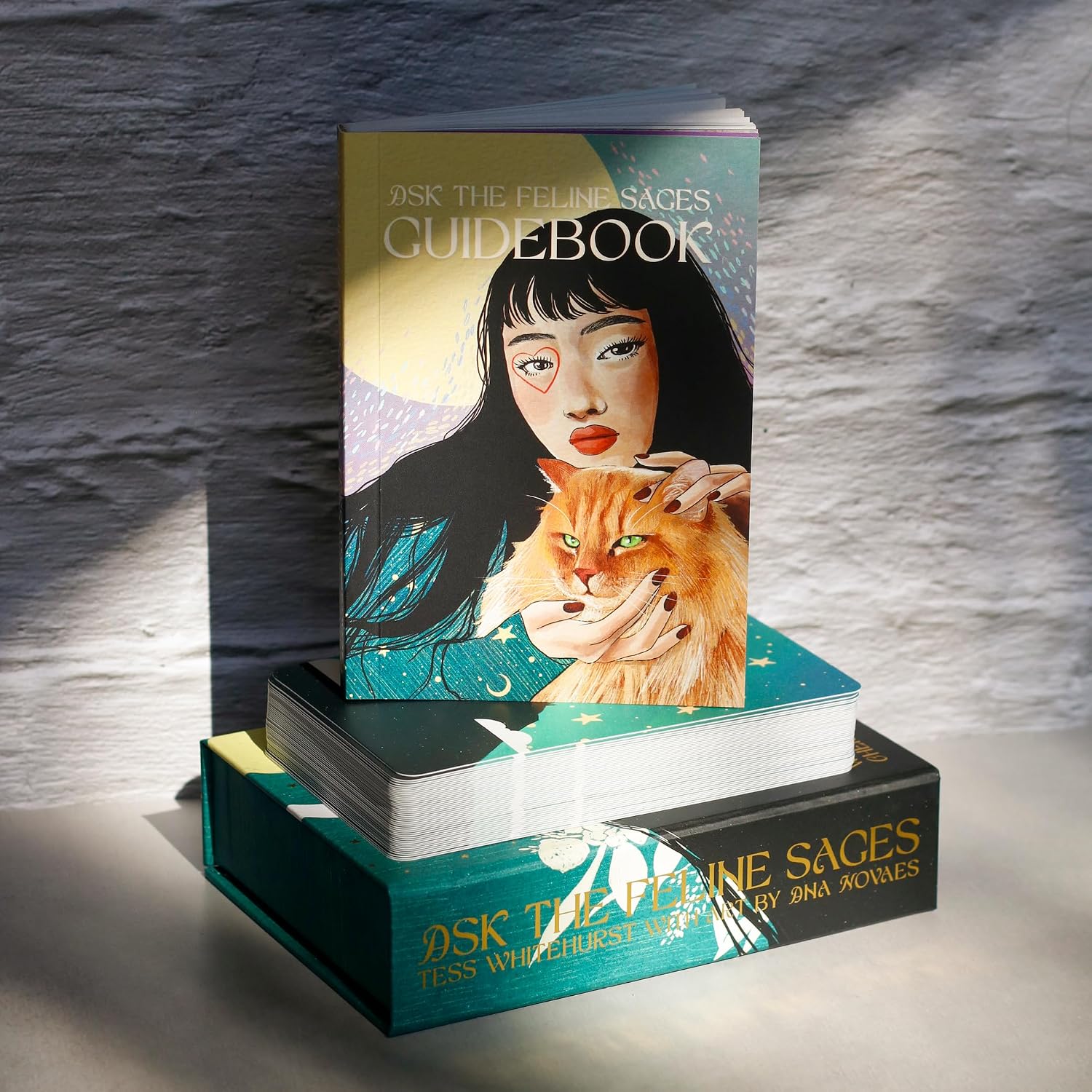 pictured guidebook with woman on cover with red cat