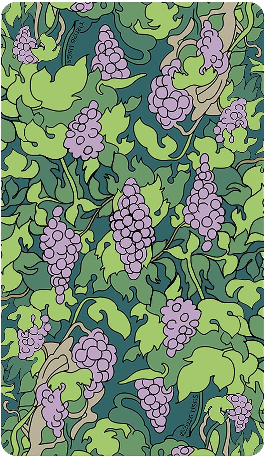 Tarot Card with a grapevine pattern on a green background