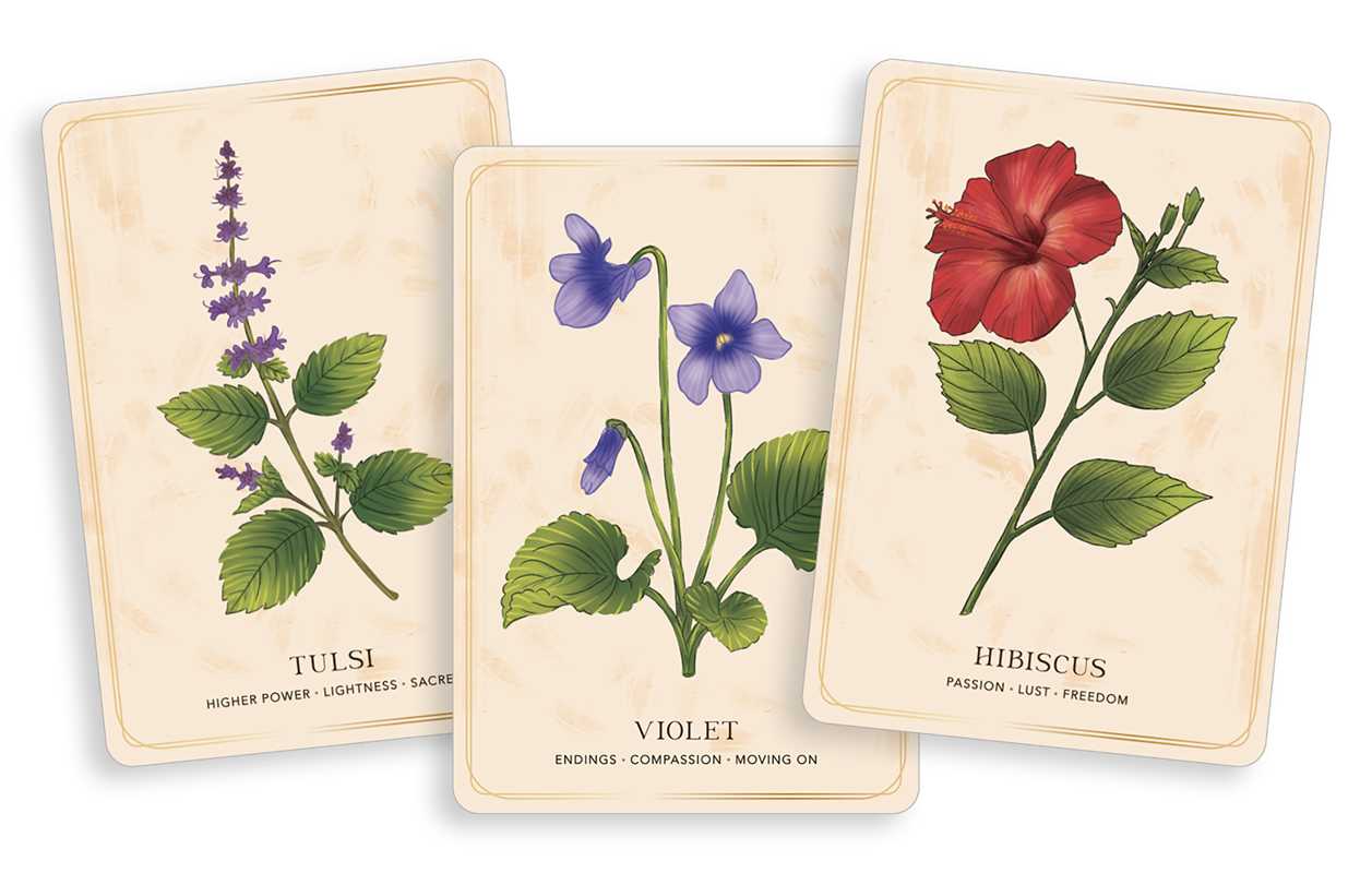 Herbal Tea Magic For the Modern Witch Oracle Deck
