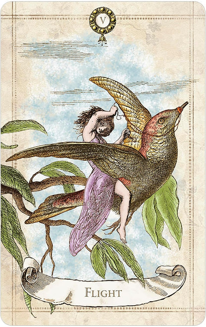 woman on a bird