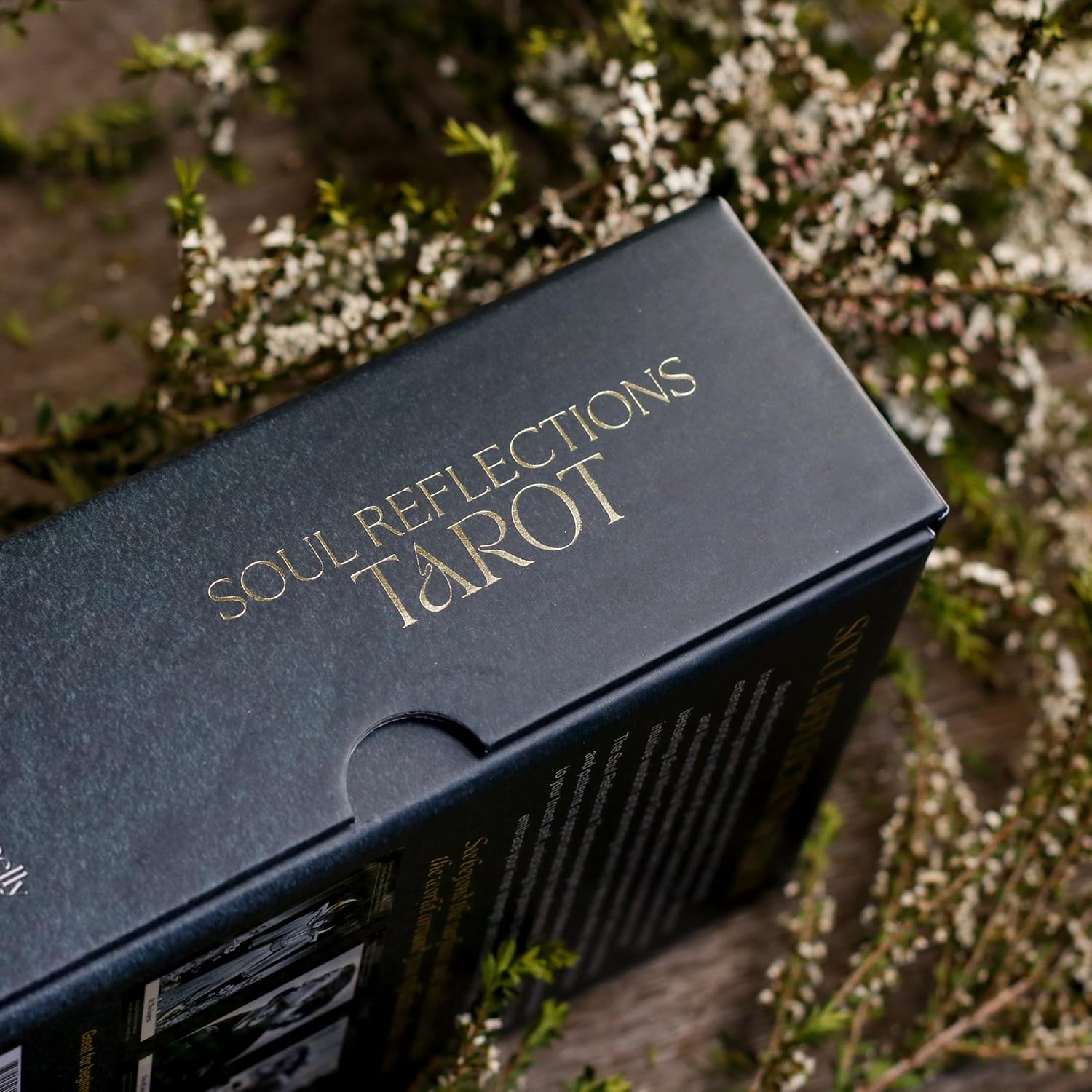 Soul Reflections Tarot box with natural background