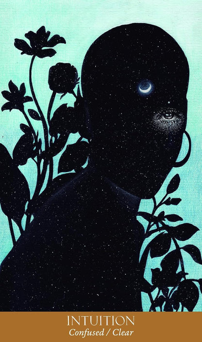 personal in a silhouette of a woman as a galaxy 
