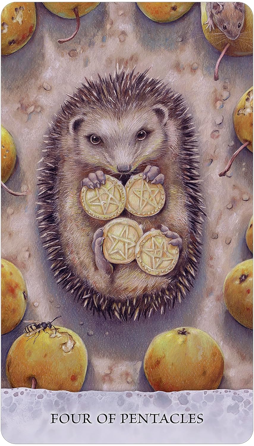 hedgehog on their back with four pentacles