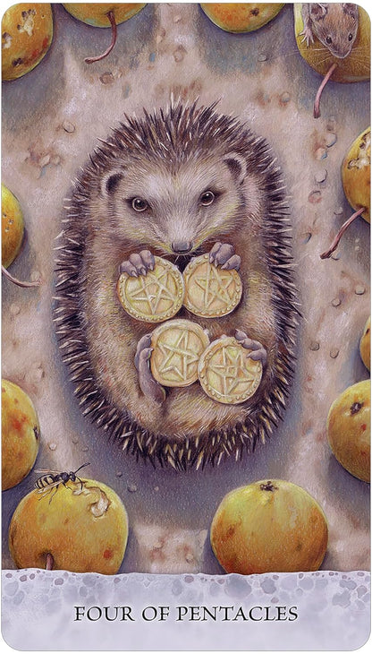hedgehog on their back with four pentacles