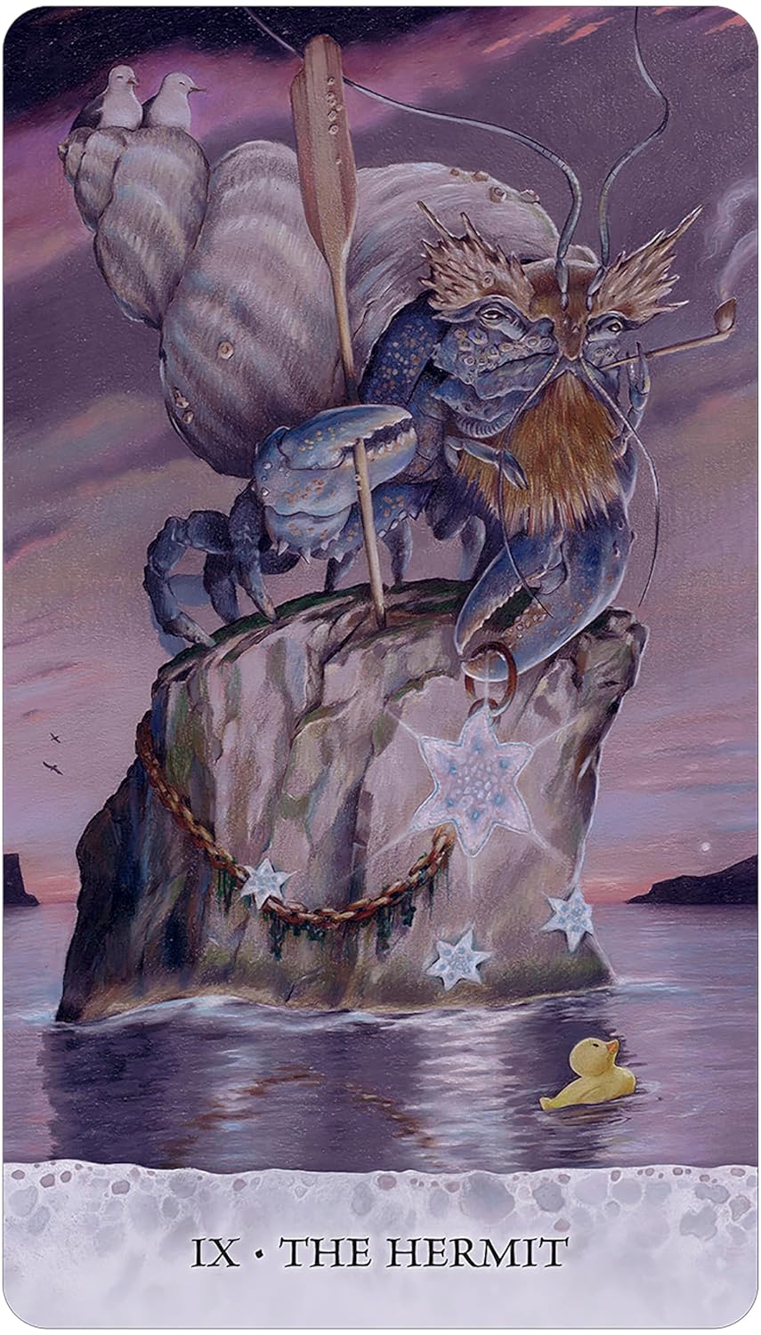 crustation on a rock
