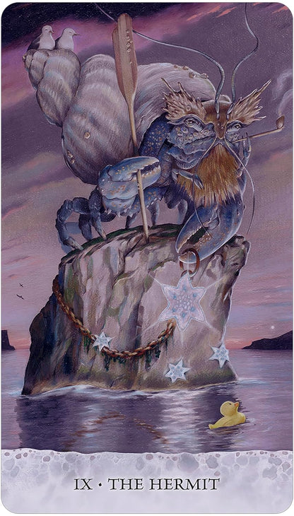 crustation on a rock