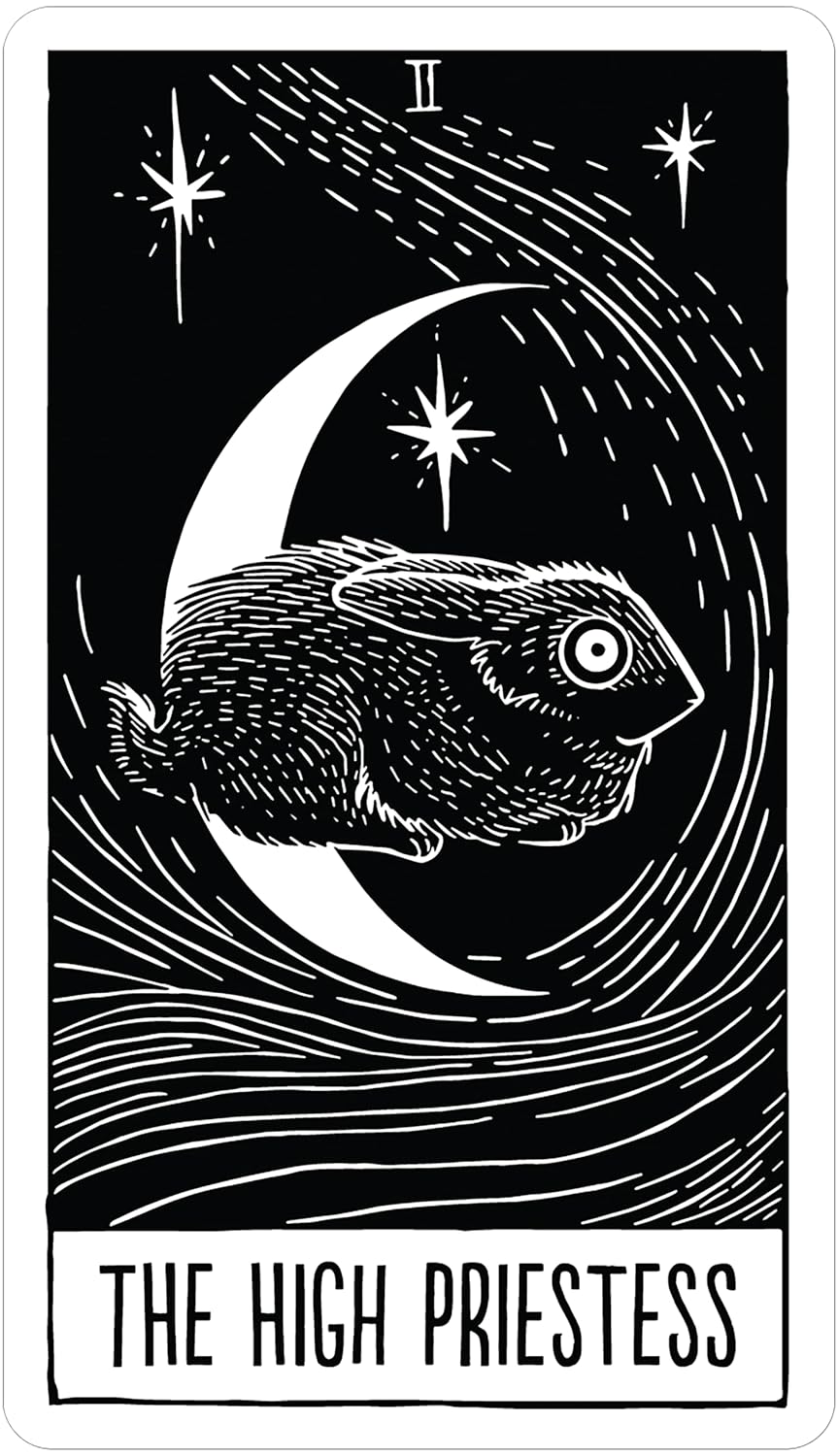 Black and white illustration of a rabbit on a crescent moon with stars, labeled &