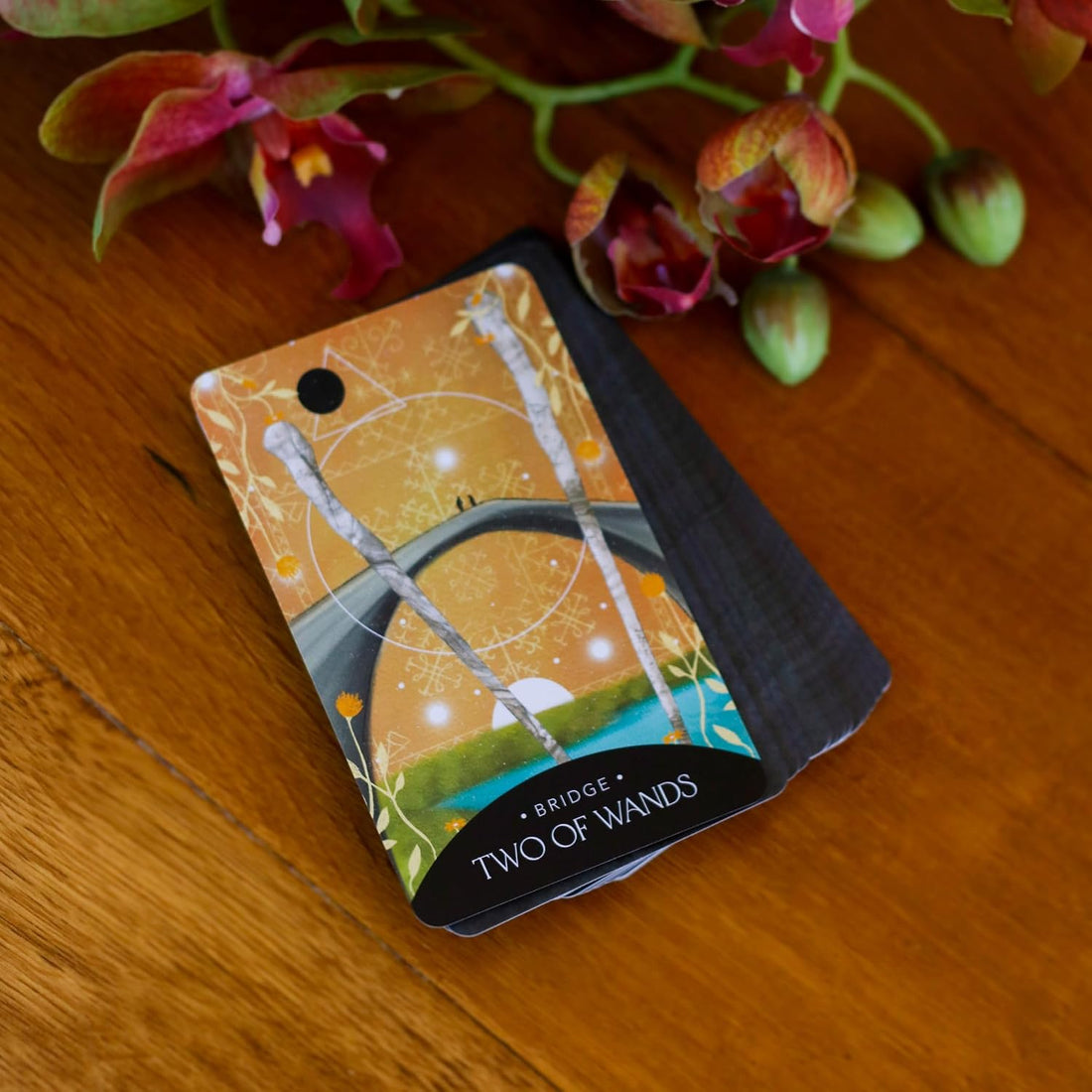 The Symbolic Tarot Mythic Meanings within Everyday Objects