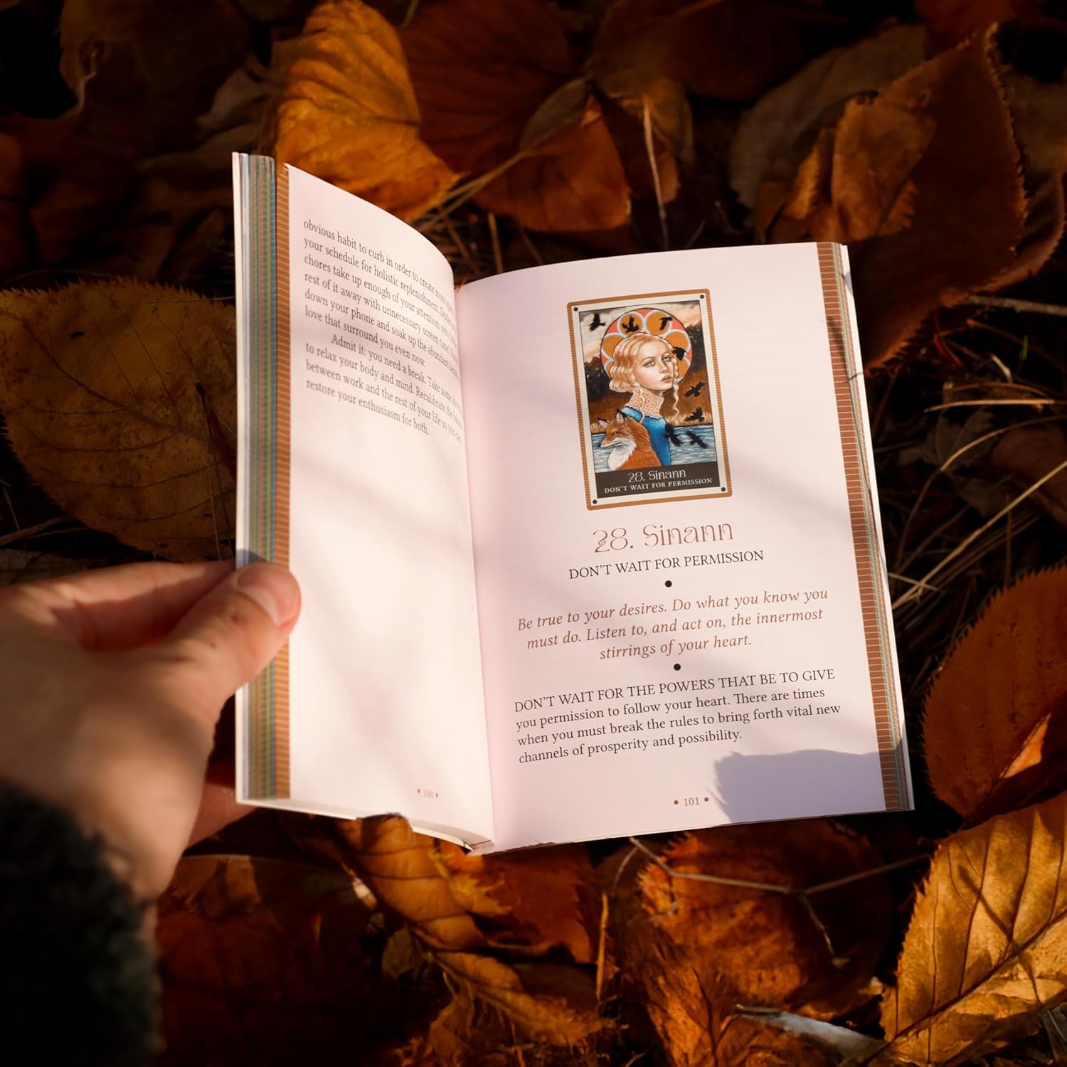 The Wild Witch Oracle: Shapeshifters, Rebels &amp; Queens