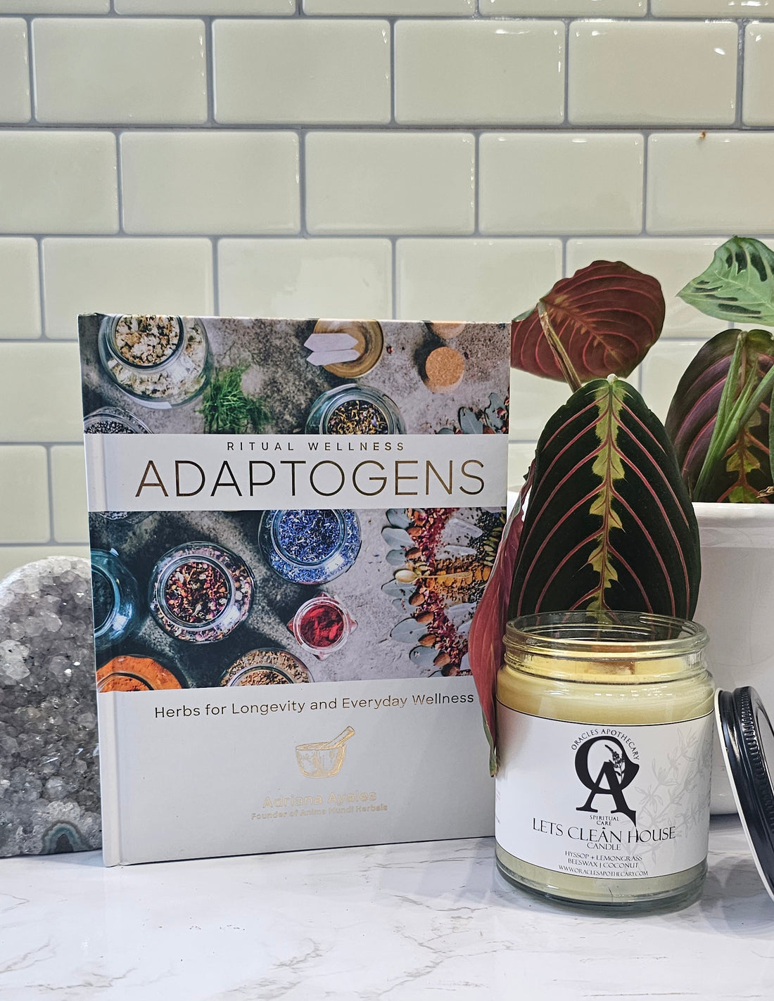 Adaptogens a book on ritual wellness