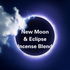 picture of the April New Moon and Eclipse