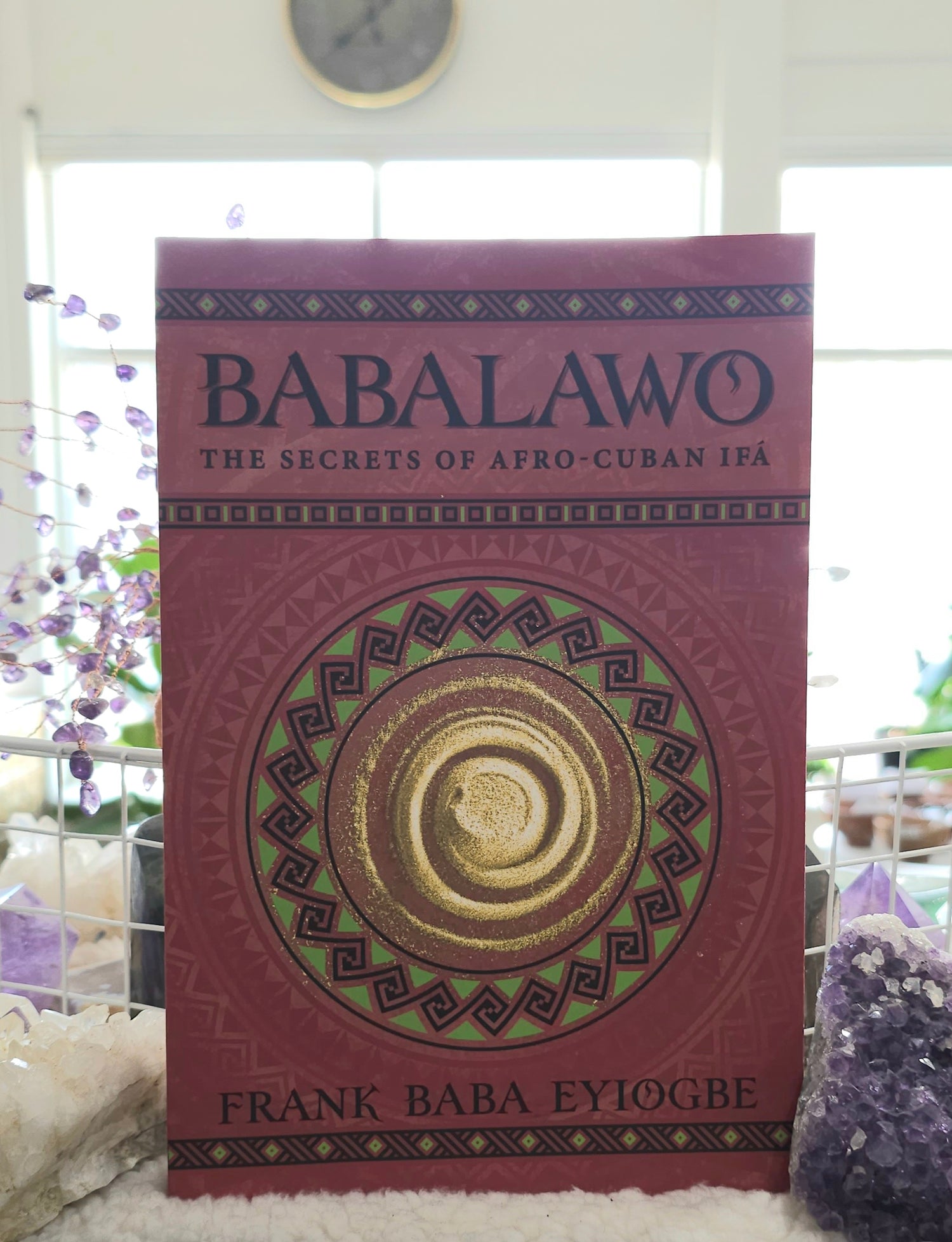 the book Babalawo: Santeria High Priest