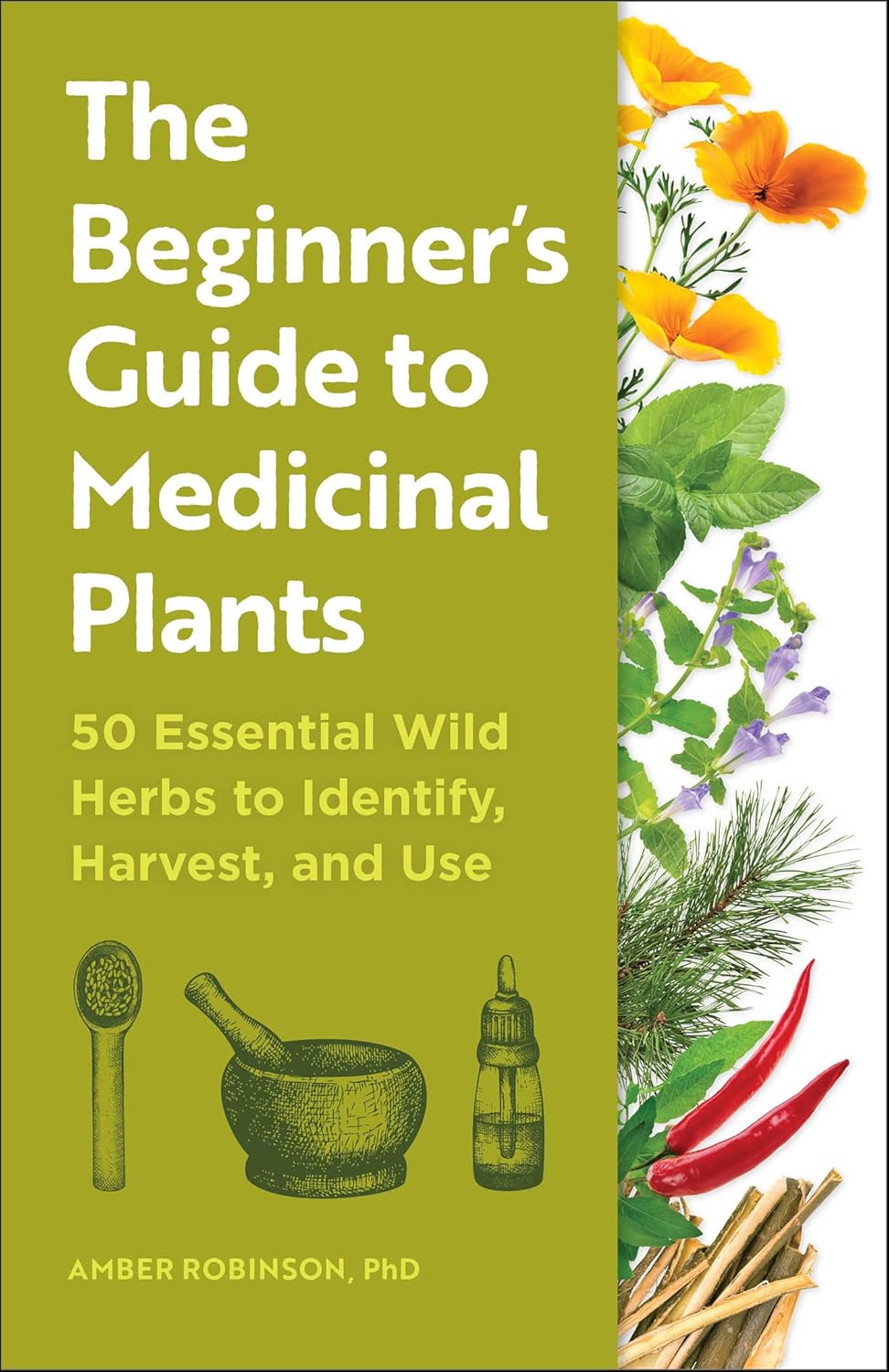 Beginner&