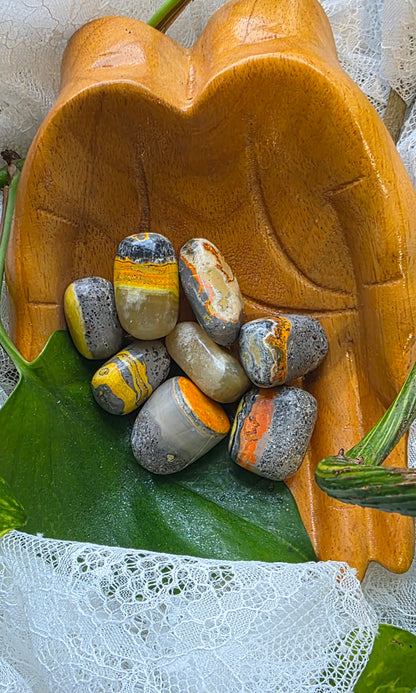 Decorative wooden bowl with bumble bee jaspers stones on a green leaf