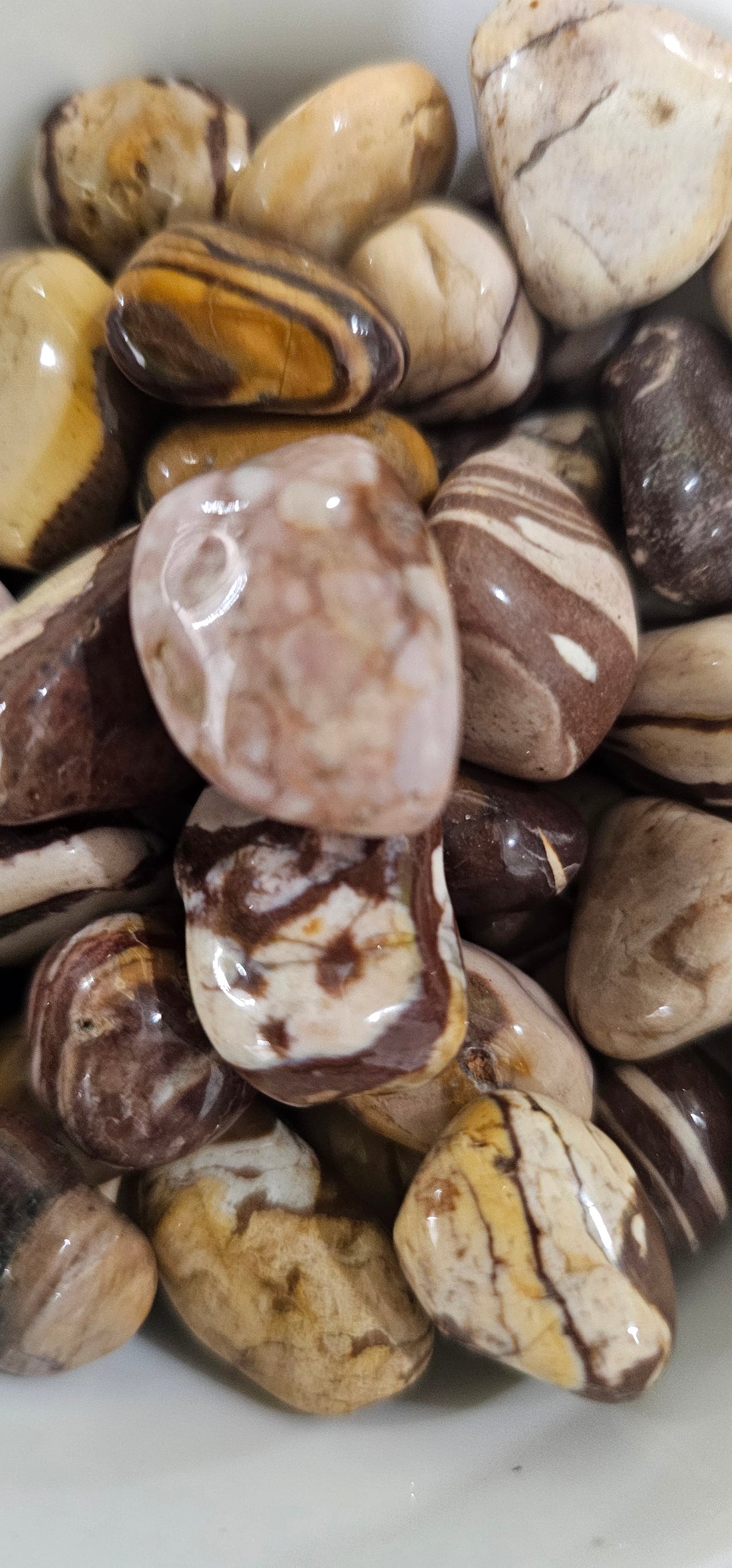 a pile of Chocolate Zebra Jasper crystal stones