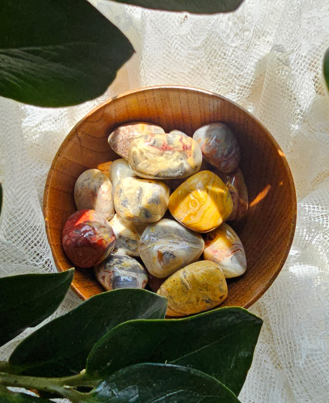 Crazy Lace Agate crystals stones in a wooden bowl