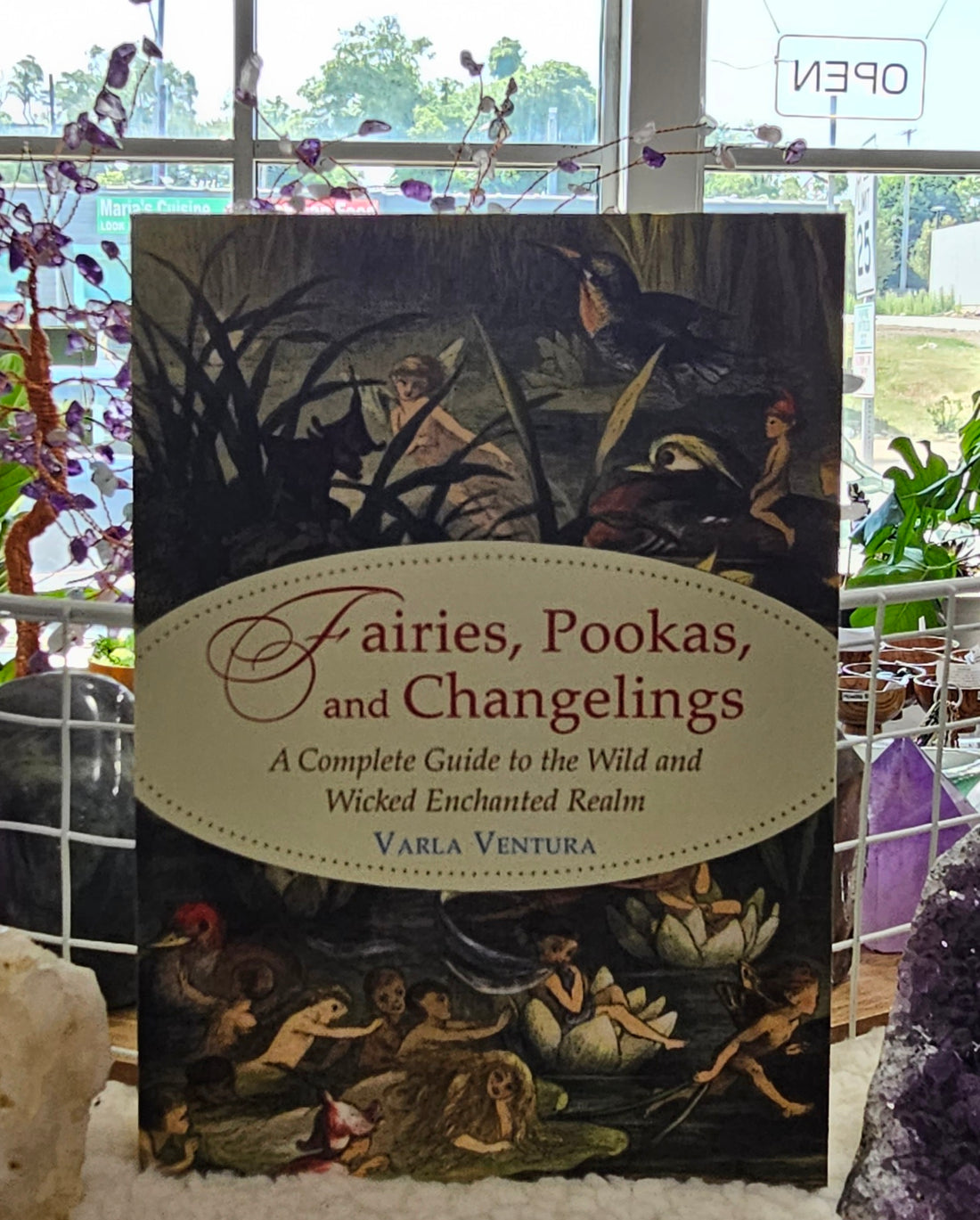 Fairies, Pookas, and Changelings book sitting on a table