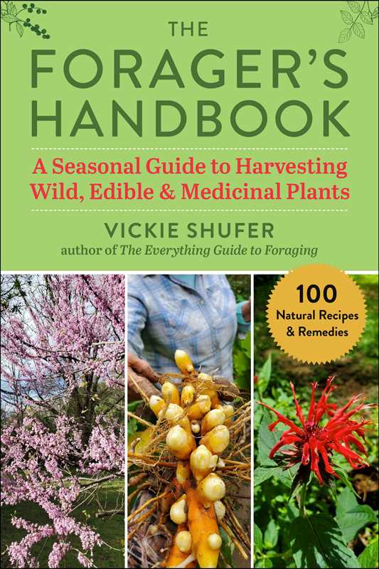 Book cover of &