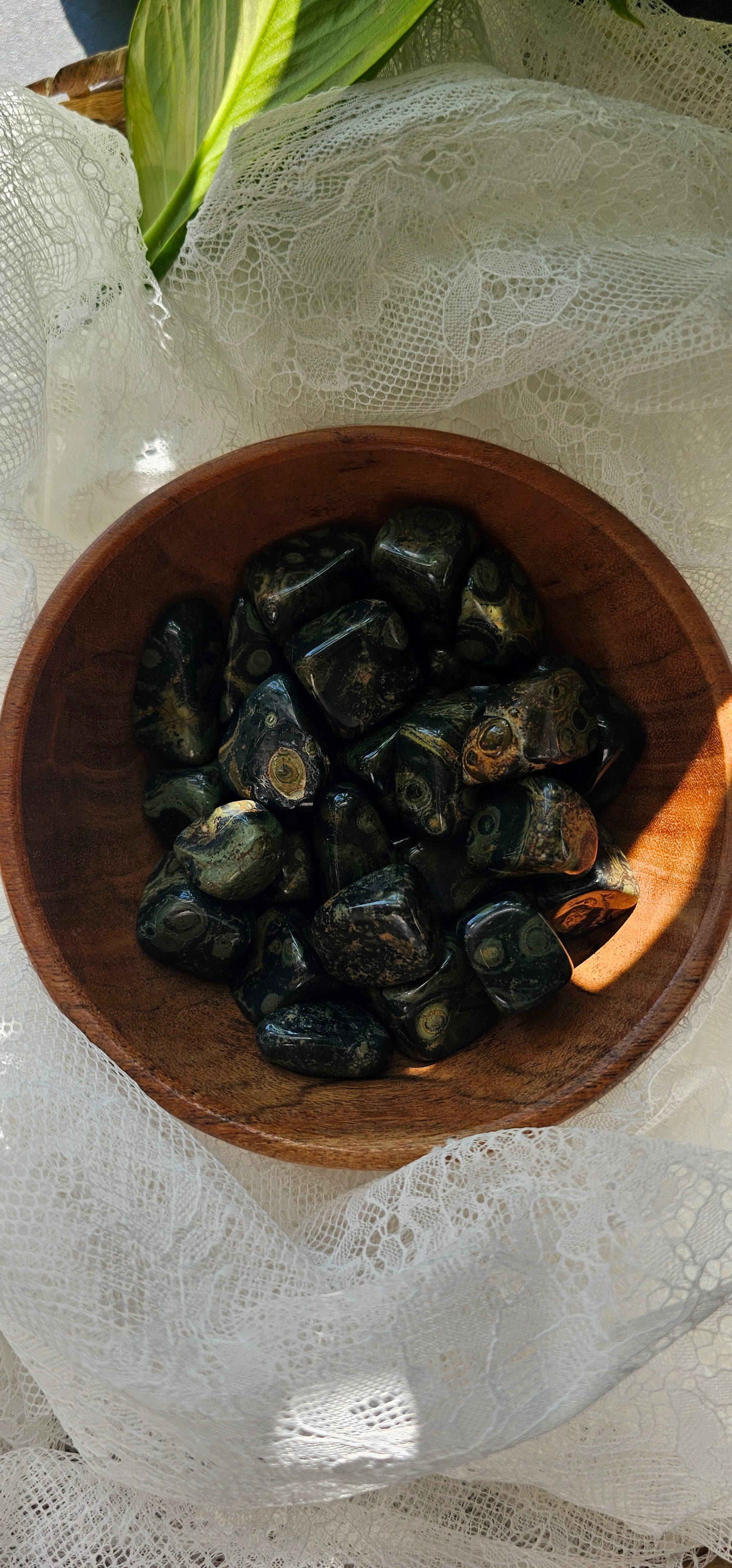 Kambaba Jasper crystals stones in a wooden bowl