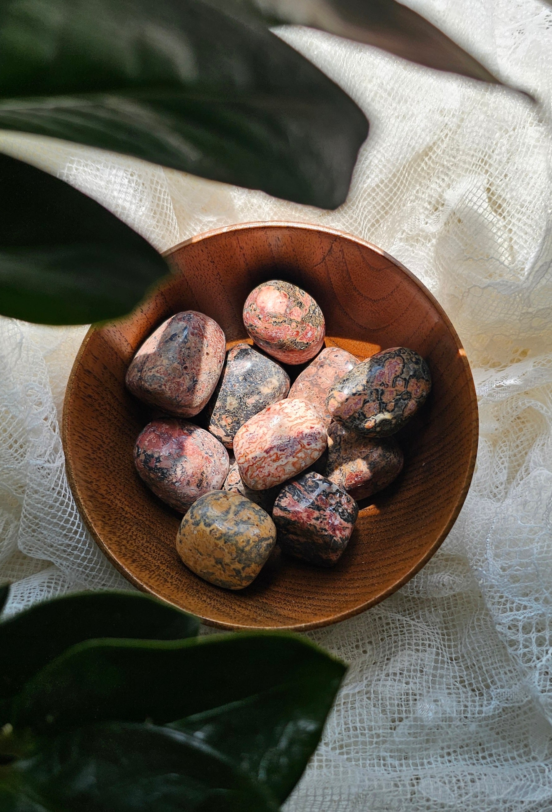 Leopard Skin Jasper crystals stones in a wooden bowl