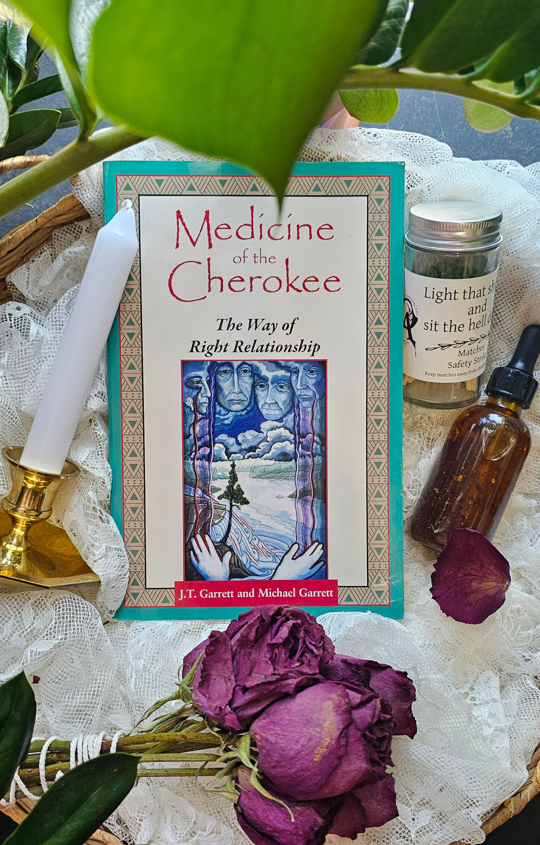 Medicine of the Cherokee book cover