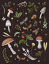 Mushroom Lined Journal cover