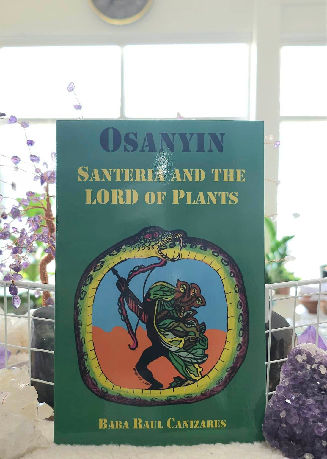 Osanyin: Santeria and the Lord of Plants cover