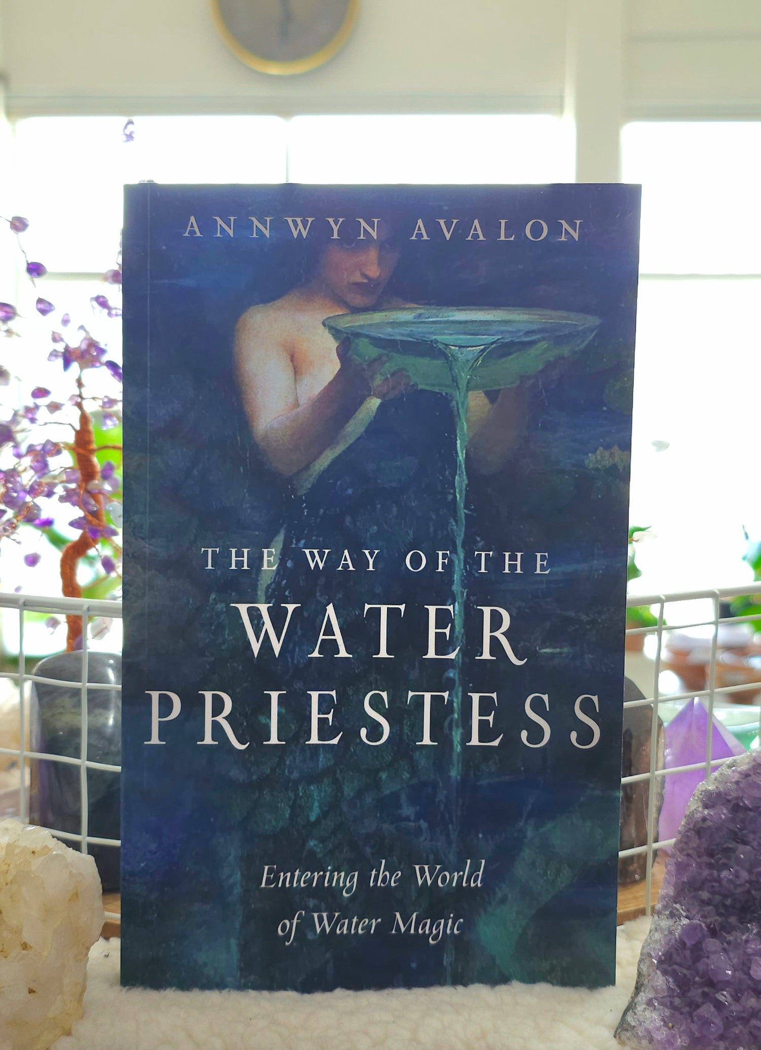 The Way of the Water Priestess cover